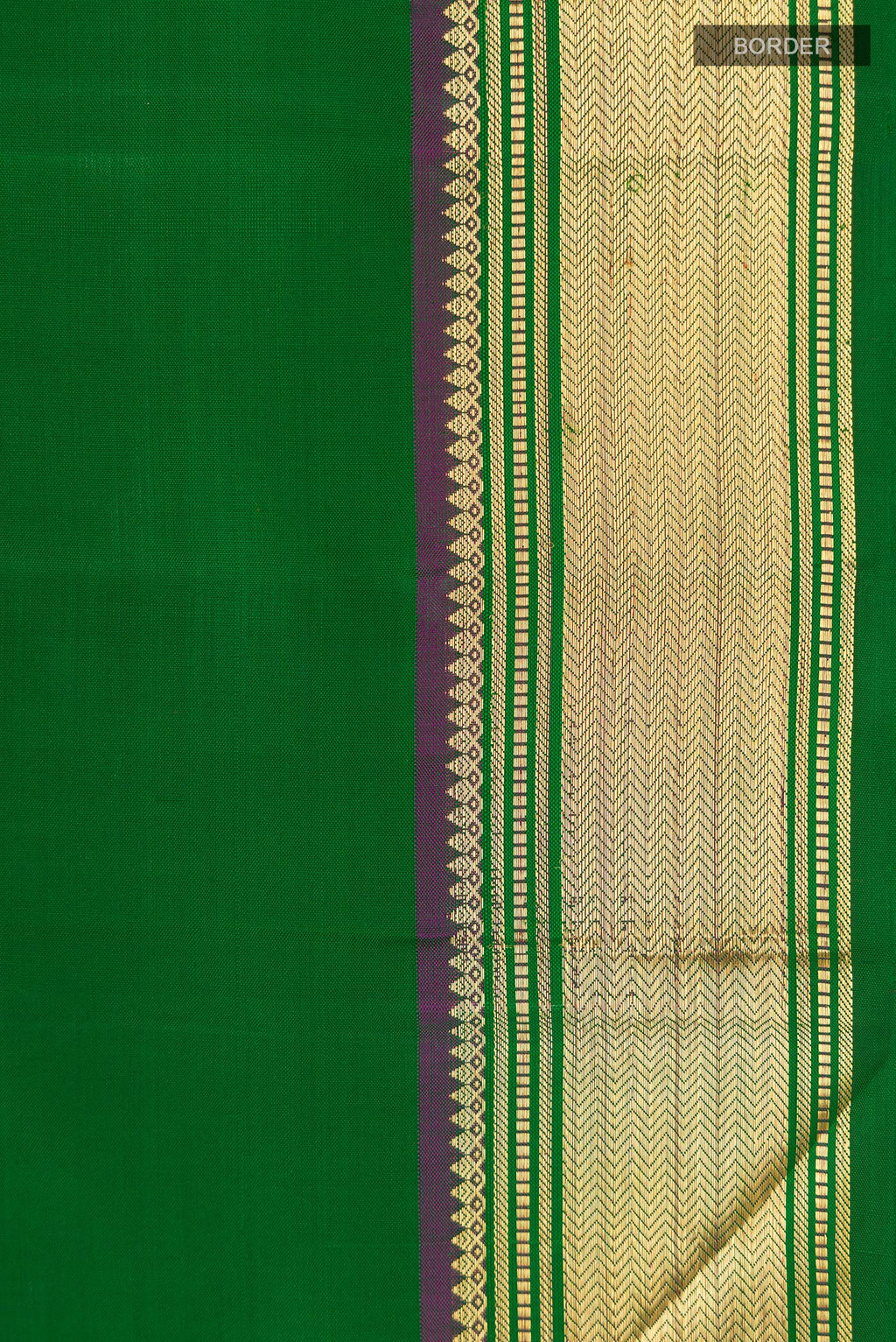 Border image of Green Kanchipuram Silk Saree with Plain Body and Zari Border. 