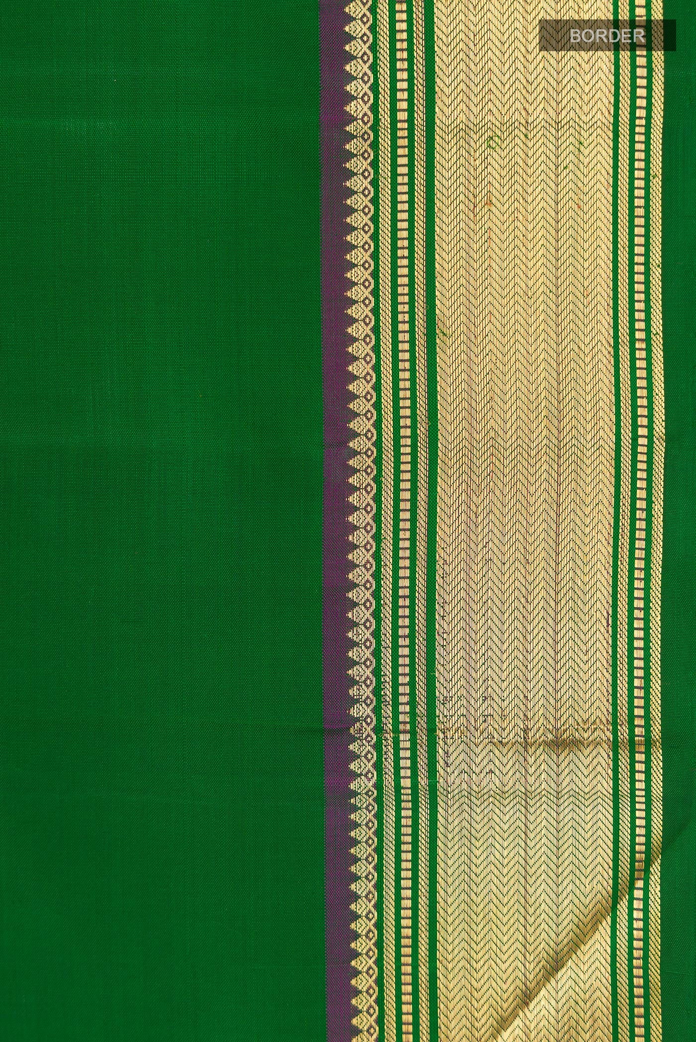 Border image of Green Kanchipuram Silk Saree with Plain Body and Zari Border. 