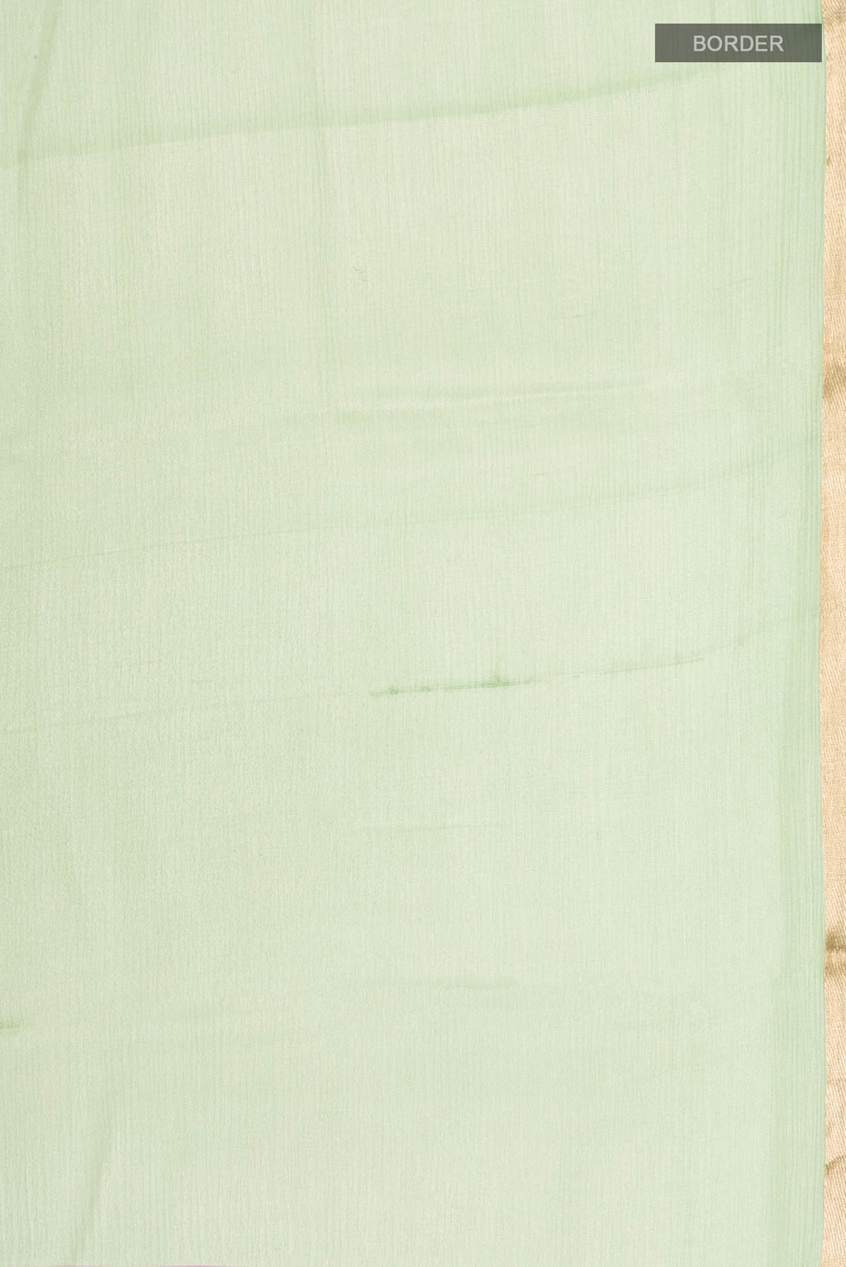 Border image of Green Mysore Chiffon Saree with Plain Body and Zari Border. 