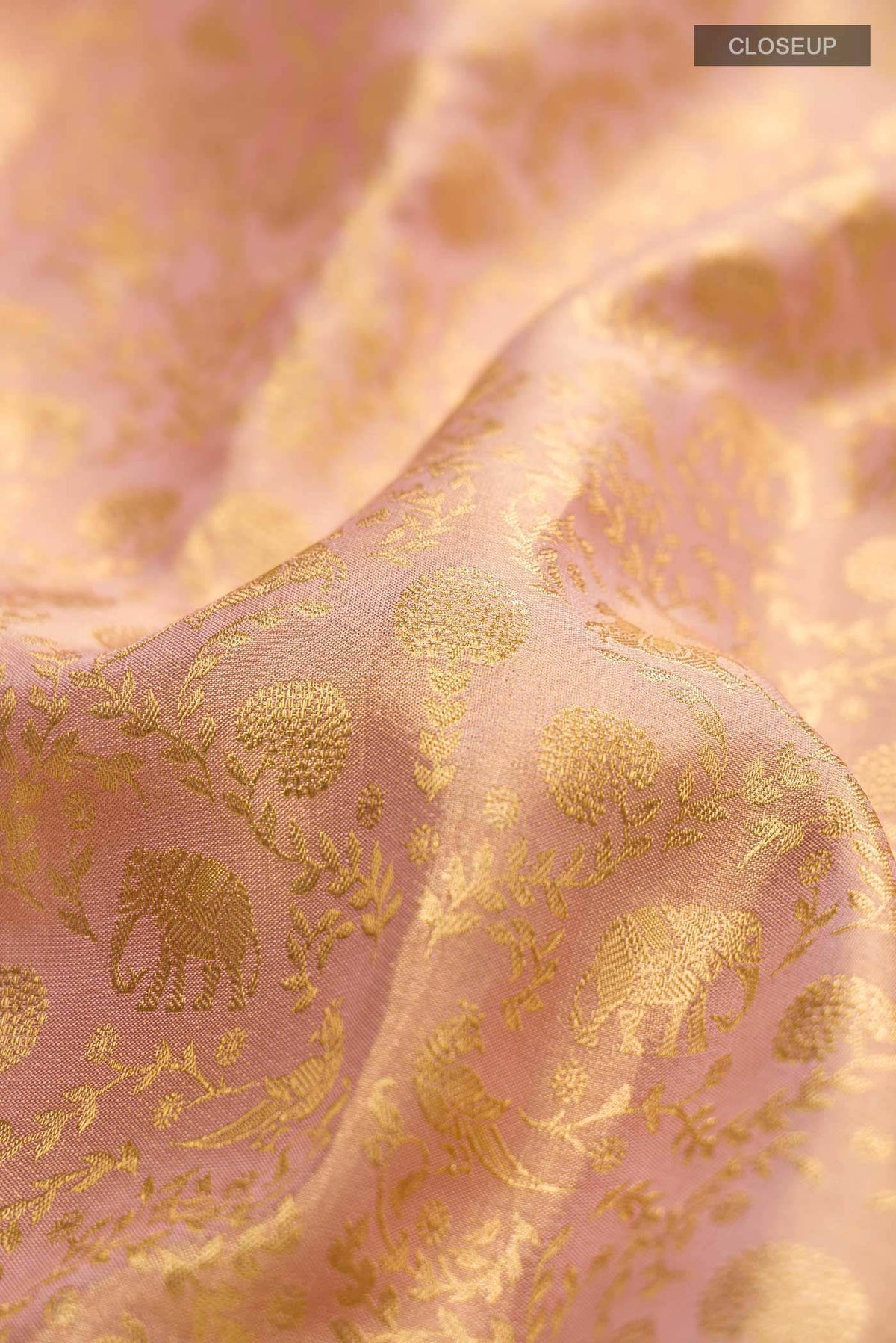 Close up of Rose Gold Kanchipuram Tissue Silk Saree with Zari Brocade on the body and Zari Border displaying folds