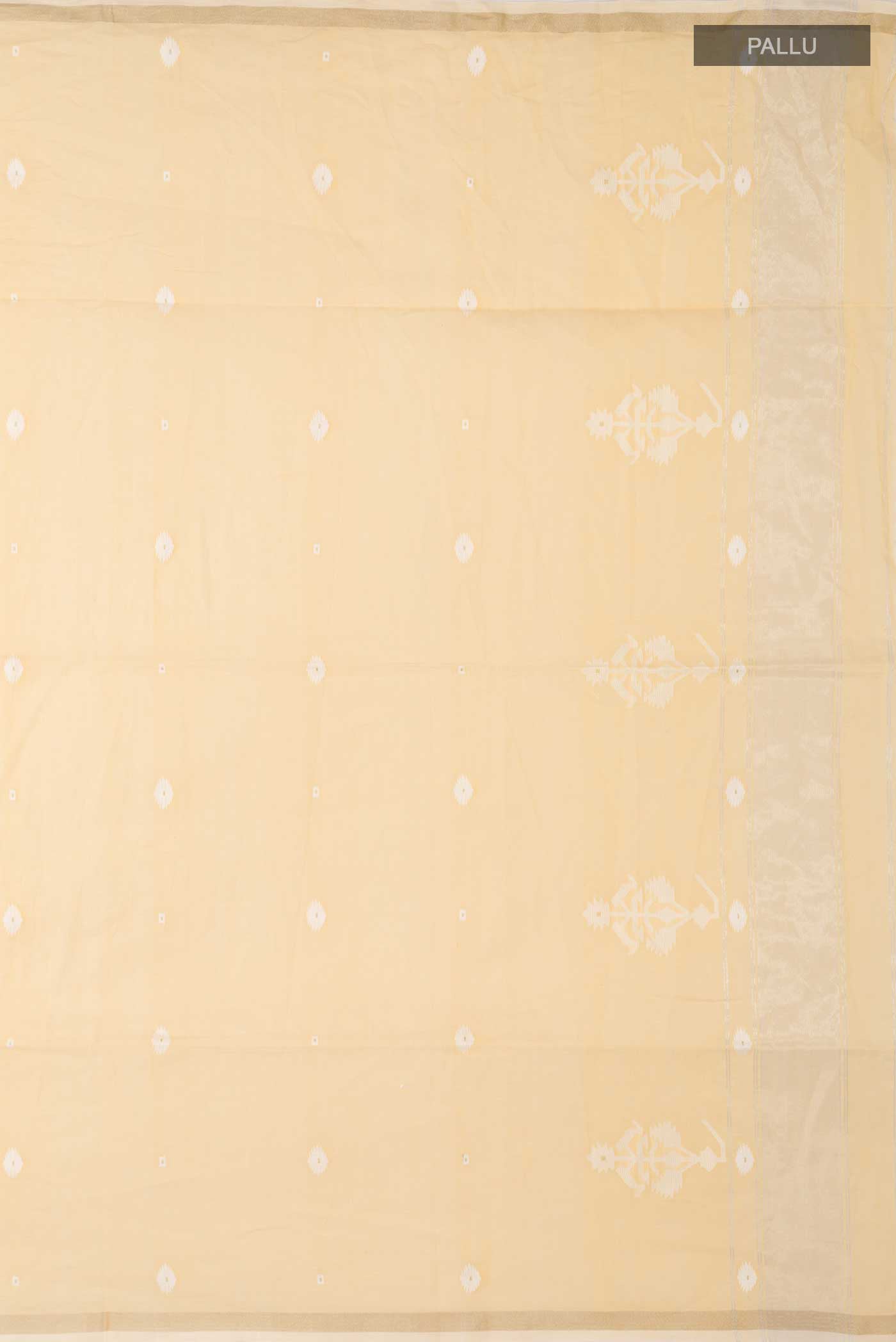 pallu_closeup