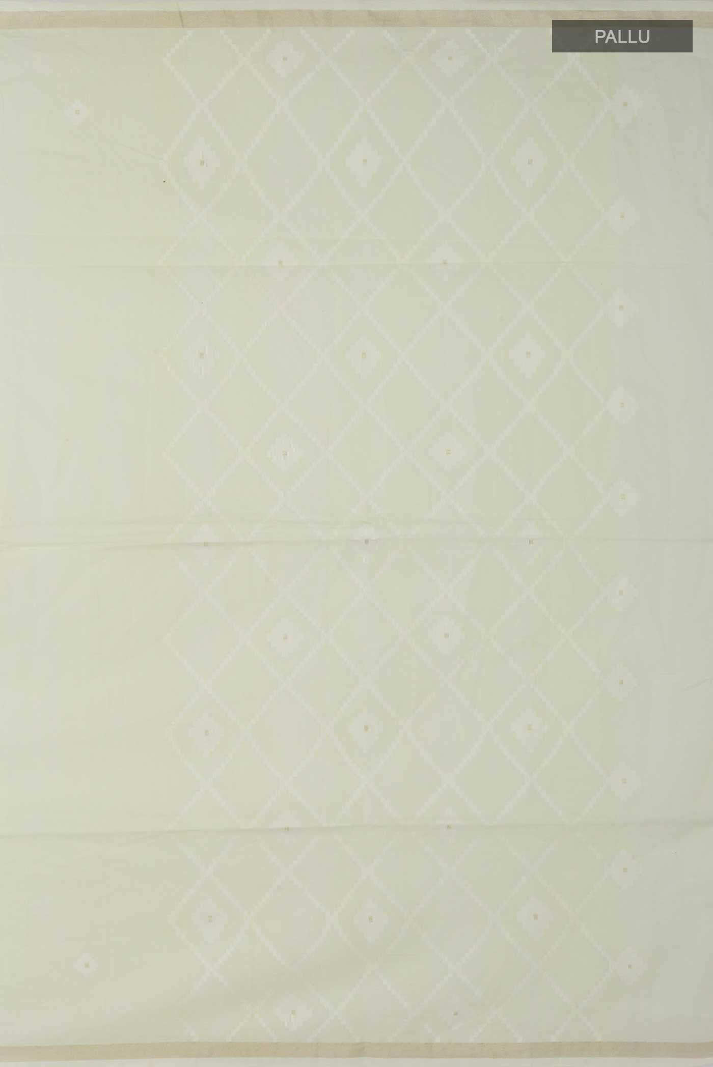 pallu_closeup