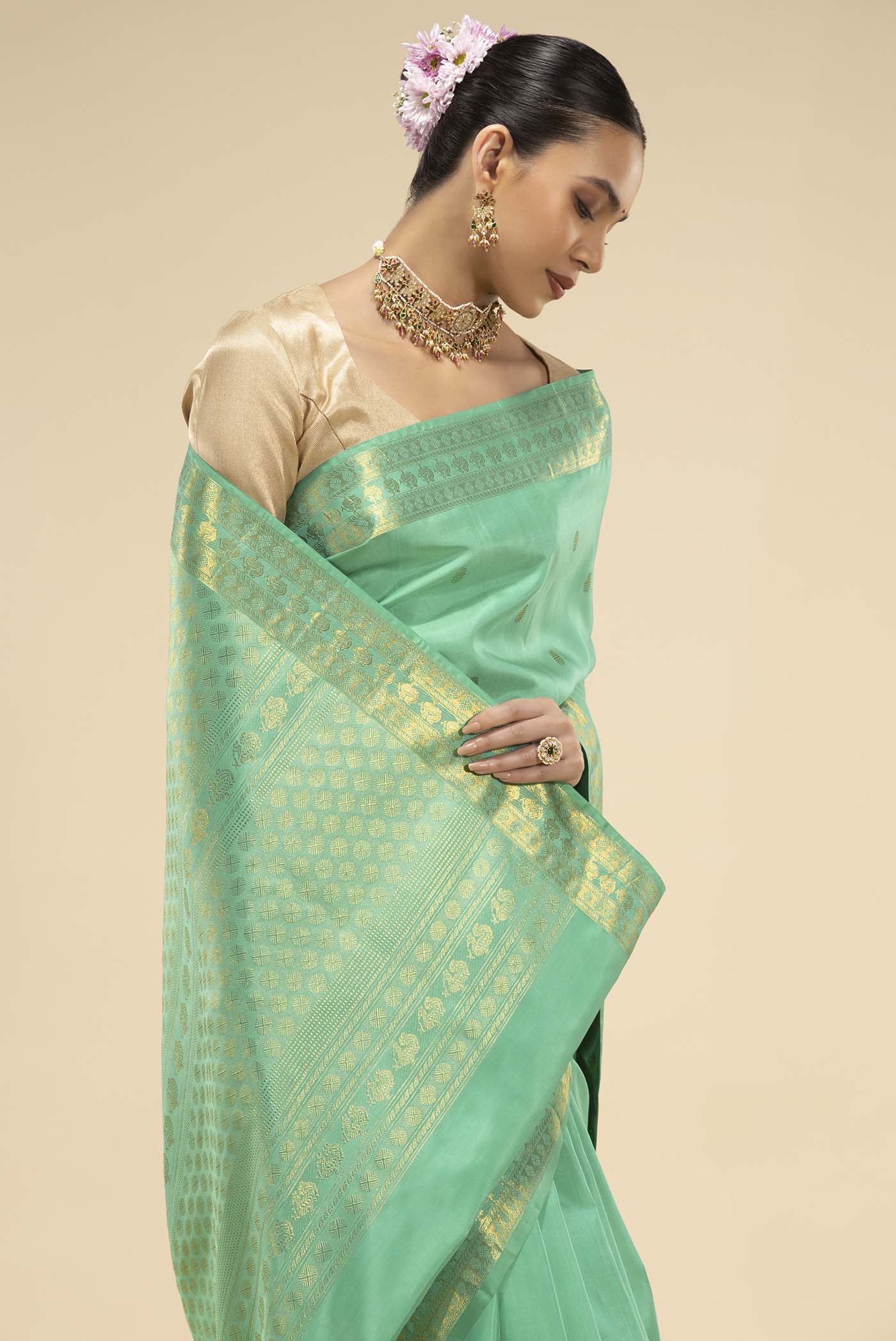 pleats pallu