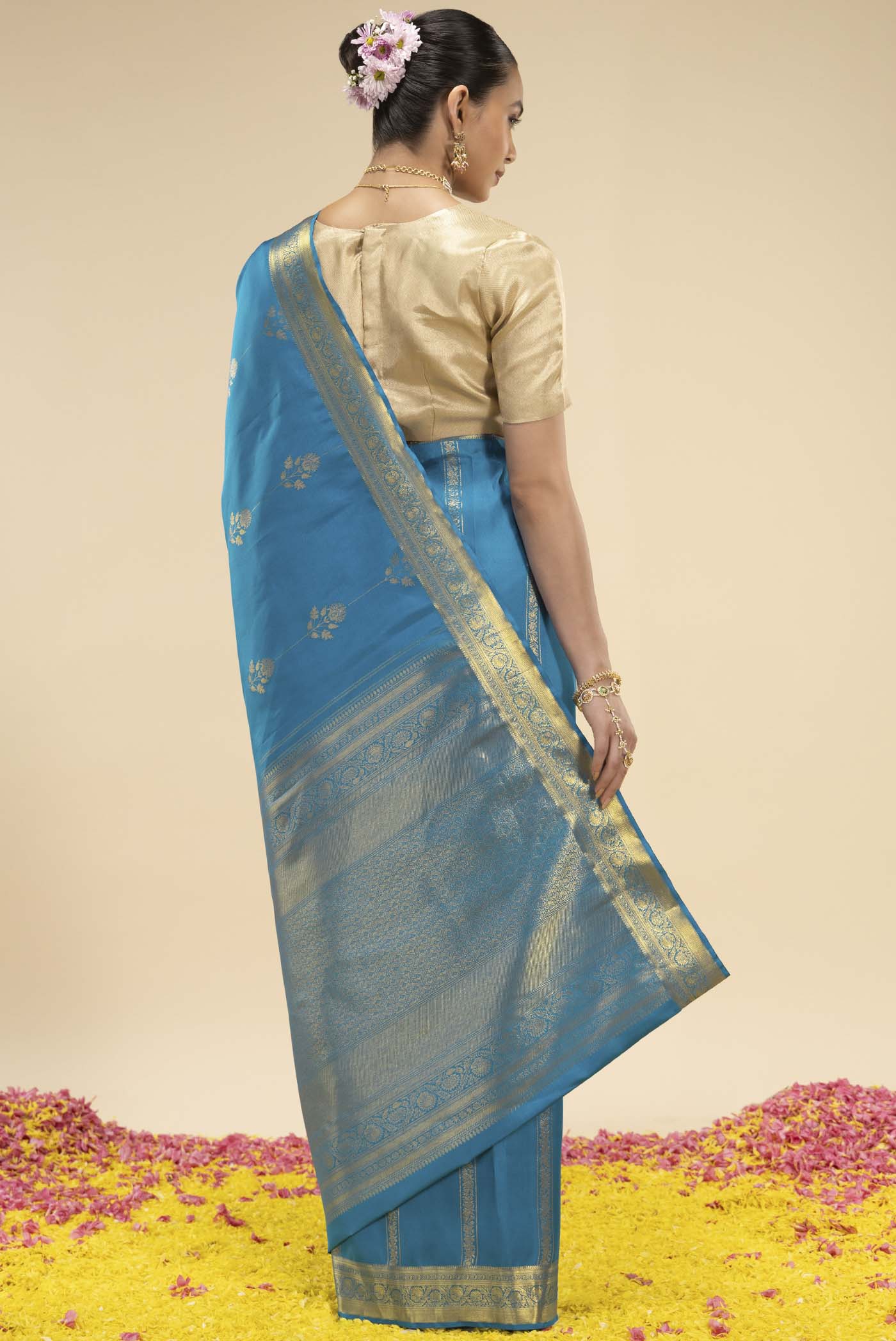 pallu body