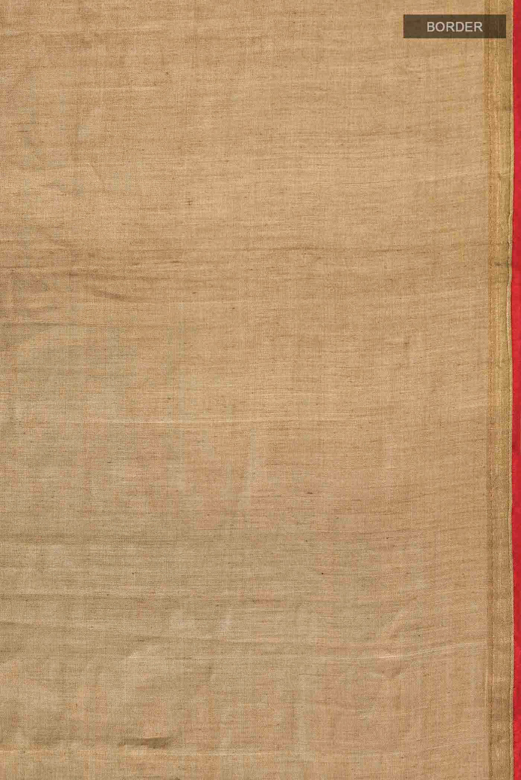 Border image of Rumana is crafted in delicate tissue enriched with antique-gold zardozi, brought to life through dabka, sequins, and coloured beads The pallu unfolds with konia motifs and flowing pomegranate vines, anchored by a drop-shaped buta rendered in a stylised pomegranate form The body carries evenly placed butas that continue into the pleats, lending the saree a gentle, composed rhythm A classic gota trim completes this elegant expression of symbolic craft