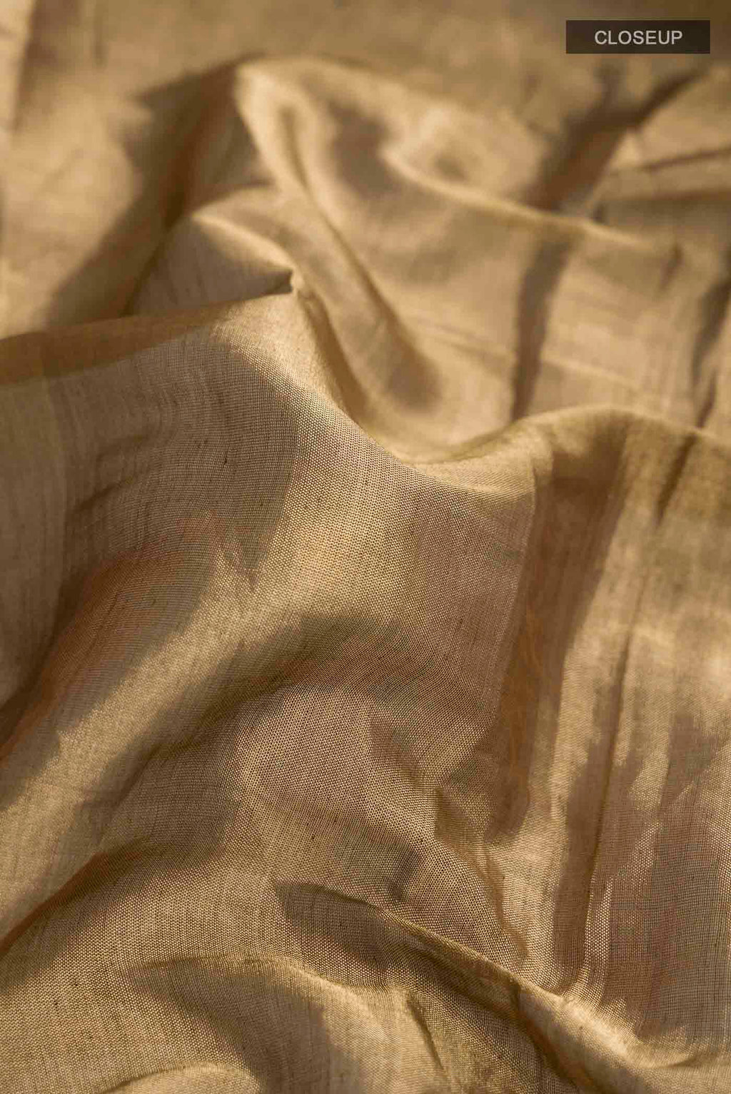 Close up of Rumana is crafted in delicate tissue enriched with antique-gold zardozi, brought to life through dabka, sequins, and coloured beads The pallu unfolds with konia motifs and flowing pomegranate vines, anchored by a drop-shaped buta rendered in a stylised pomegranate form The body carries evenly placed butas that continue into the pleats, lending the saree a gentle, composed rhythm A classic gota trim completes this elegant expression of symbolic craft displaying folds