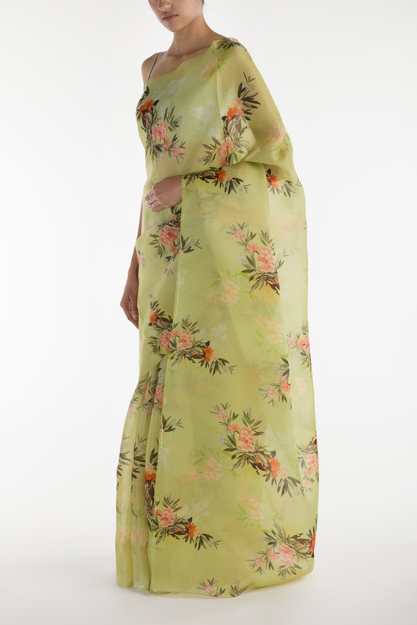 Close up image of the blouse of Pista Green Satin Organza Saree with Bird Print on the body and Without Border