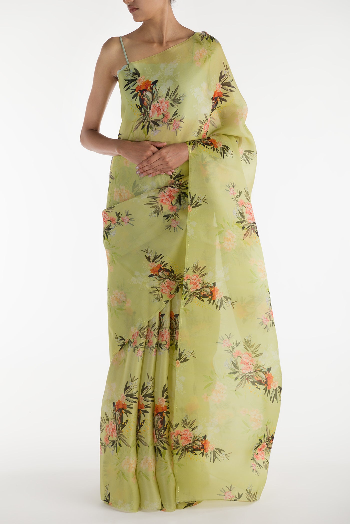 Pista Green Satin Organza Saree with Bird Print on the body and Without Border displayed on a mannequin