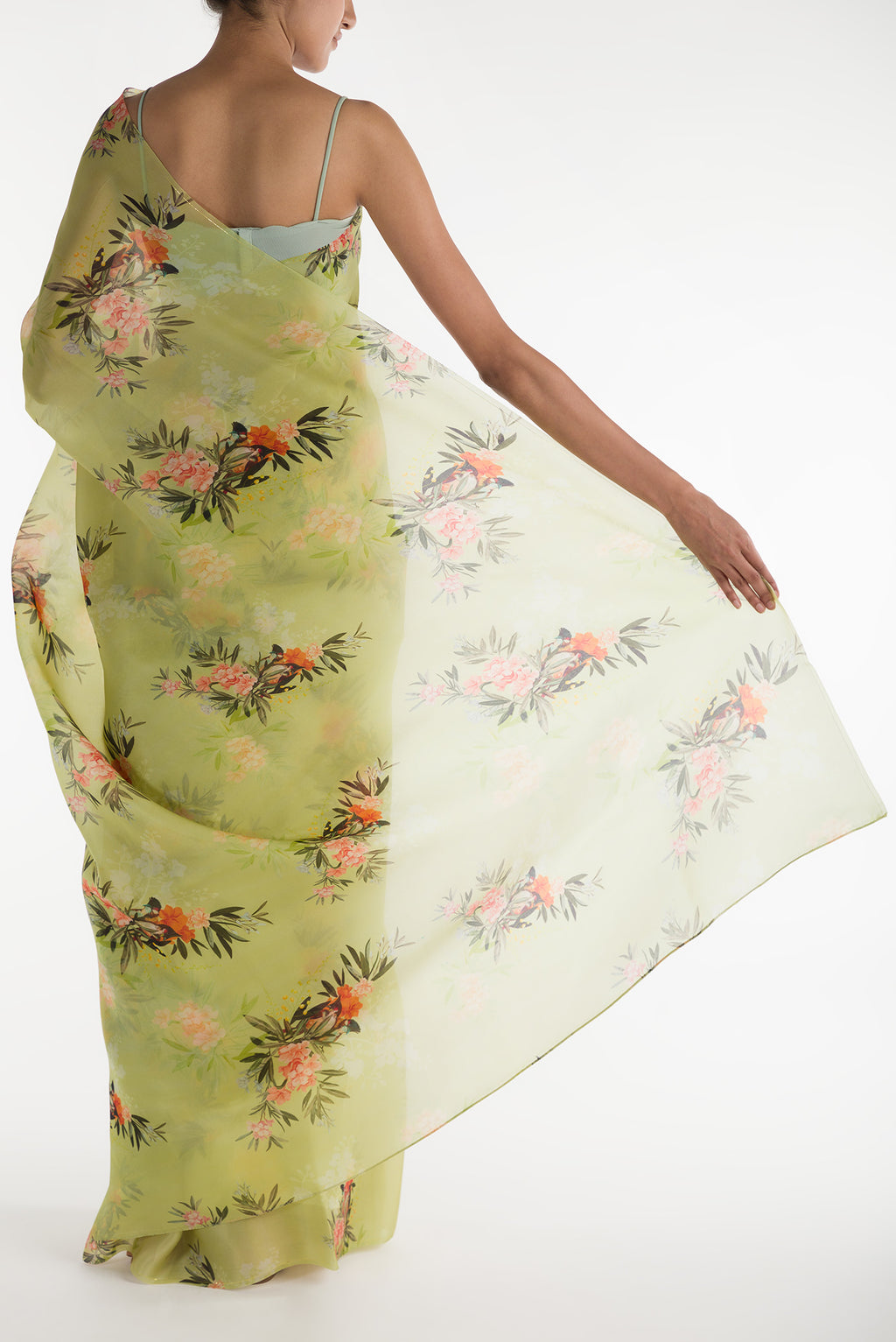 Pleats and pallu of Pista Green Satin Organza Saree with Bird Print on the body and Without Border