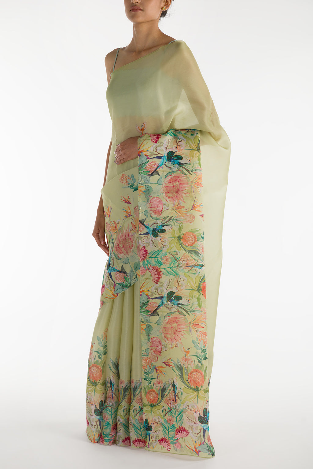 Close up image of the blouse of Pista Green Satin Organza Saree with Bird Print on the body and Without Border