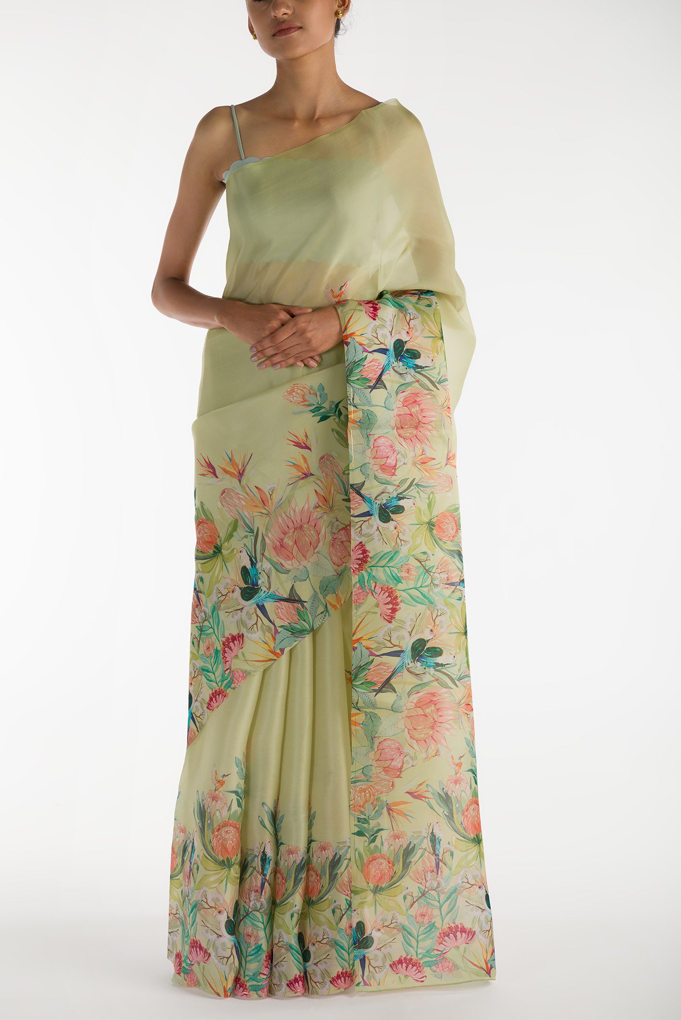Pista Green Satin Organza Saree with Bird Print on the body and Without Border displayed on a mannequin