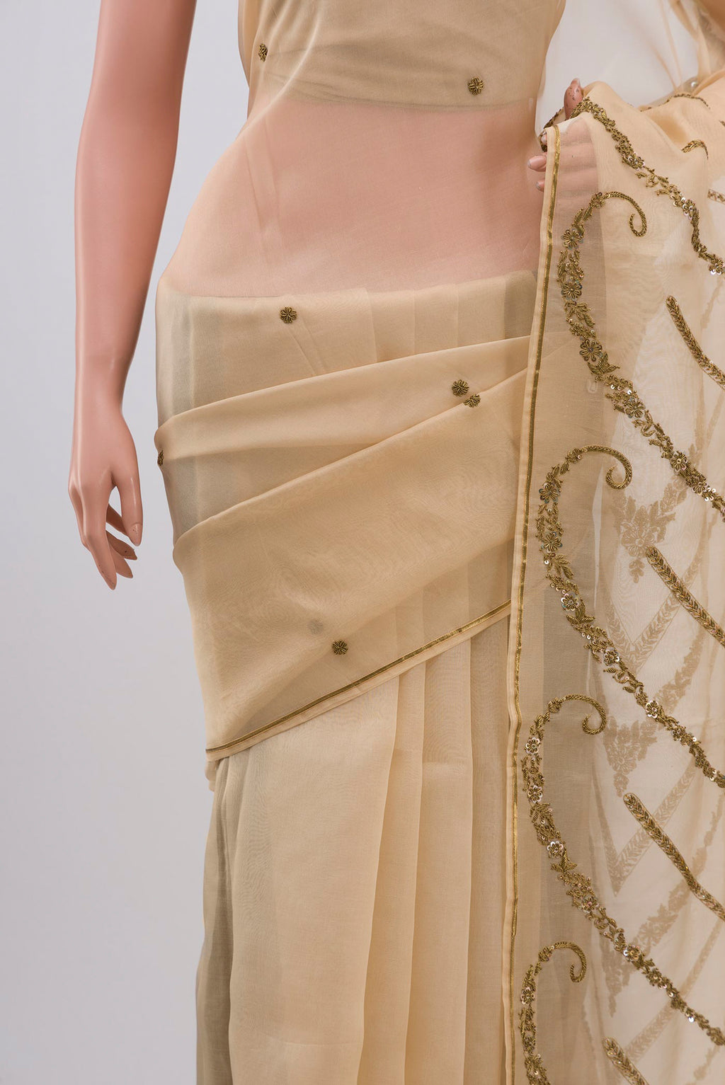 Border image of Beige Organza Silk Saree with Embroidery on the body and Embroidery Border