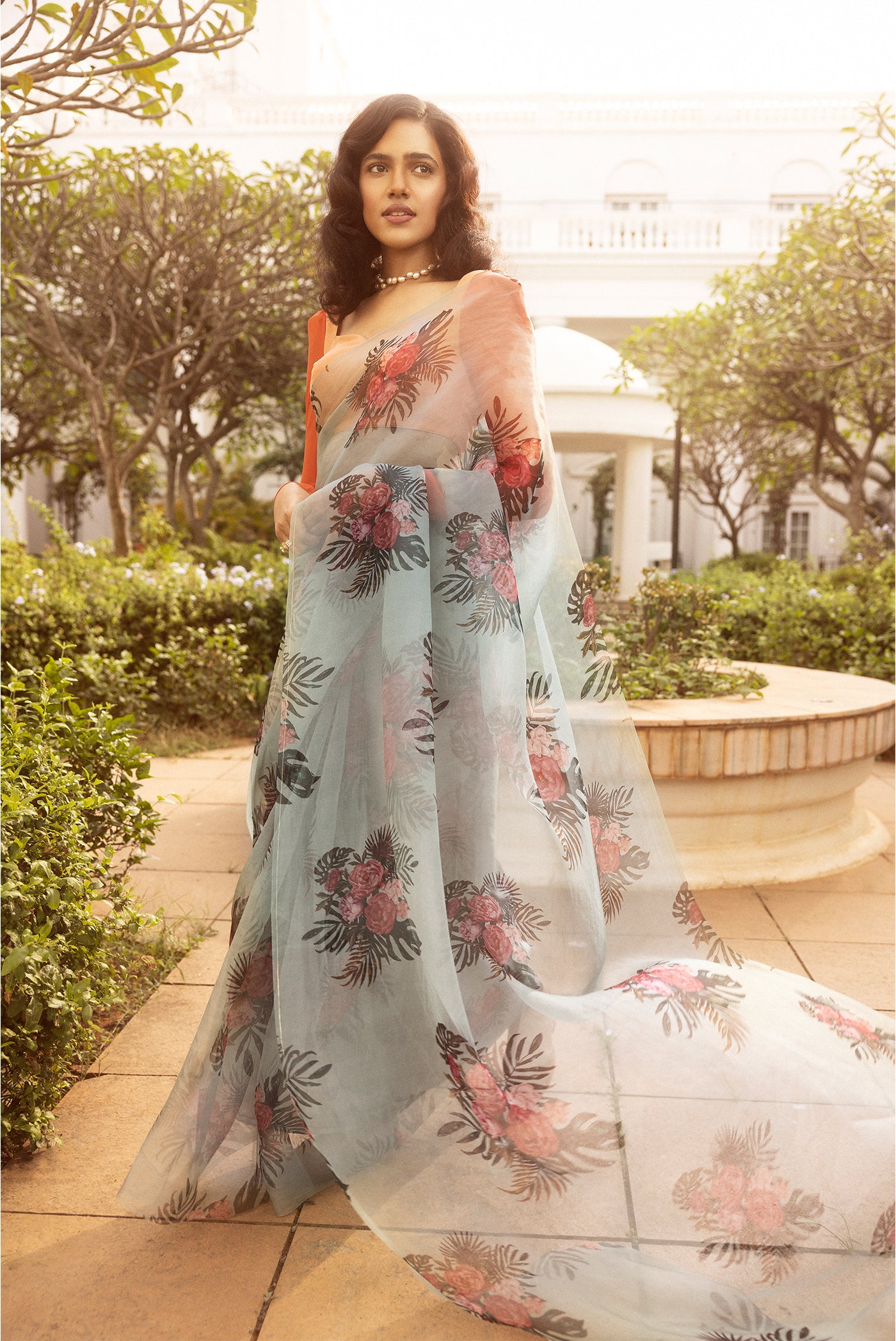 Birds of Paradise