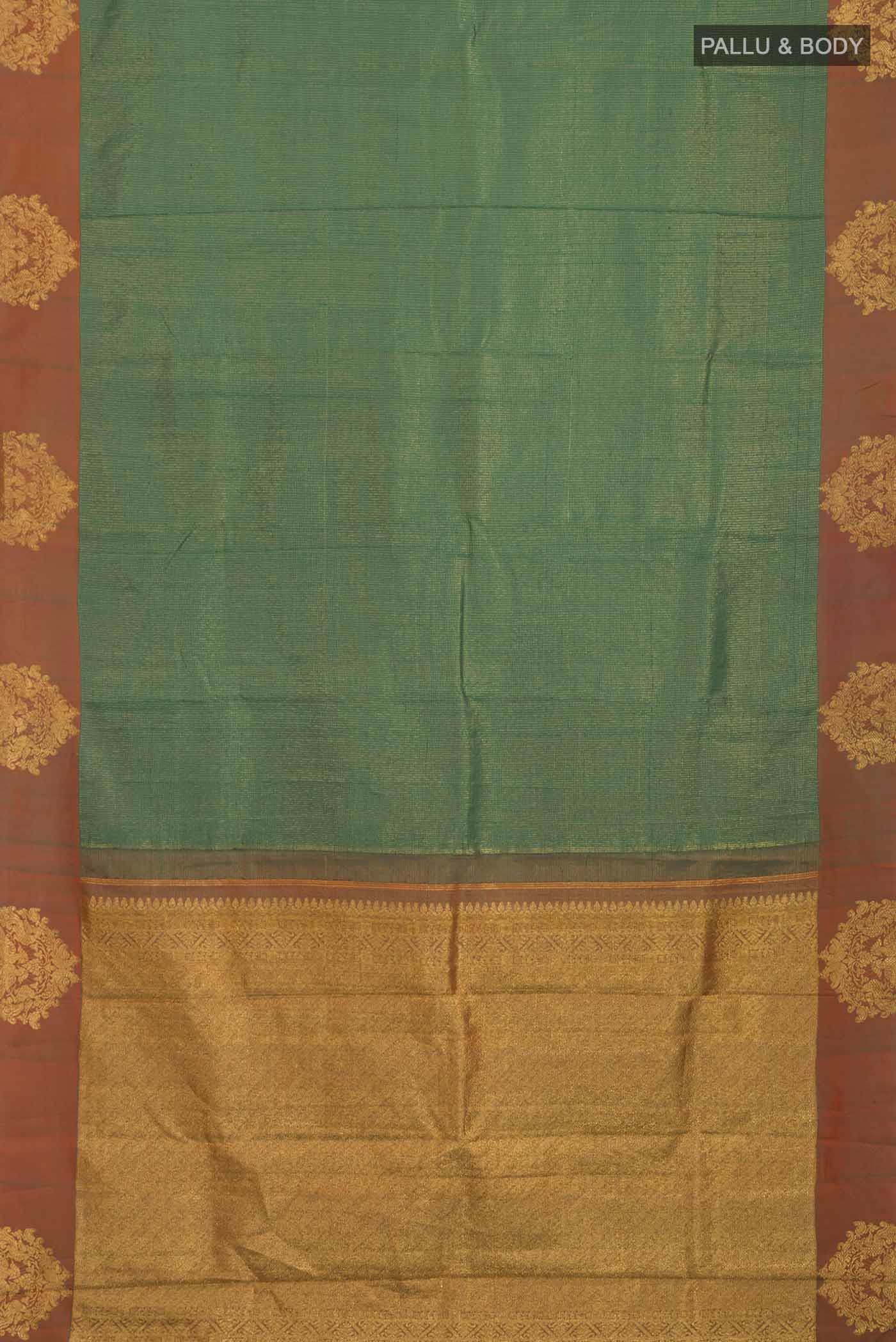 pallu body