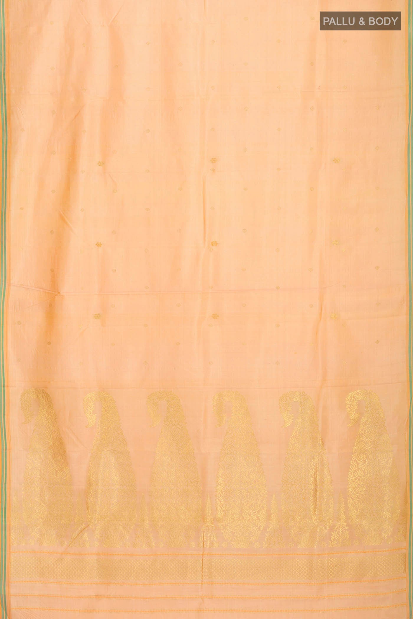 pallu body