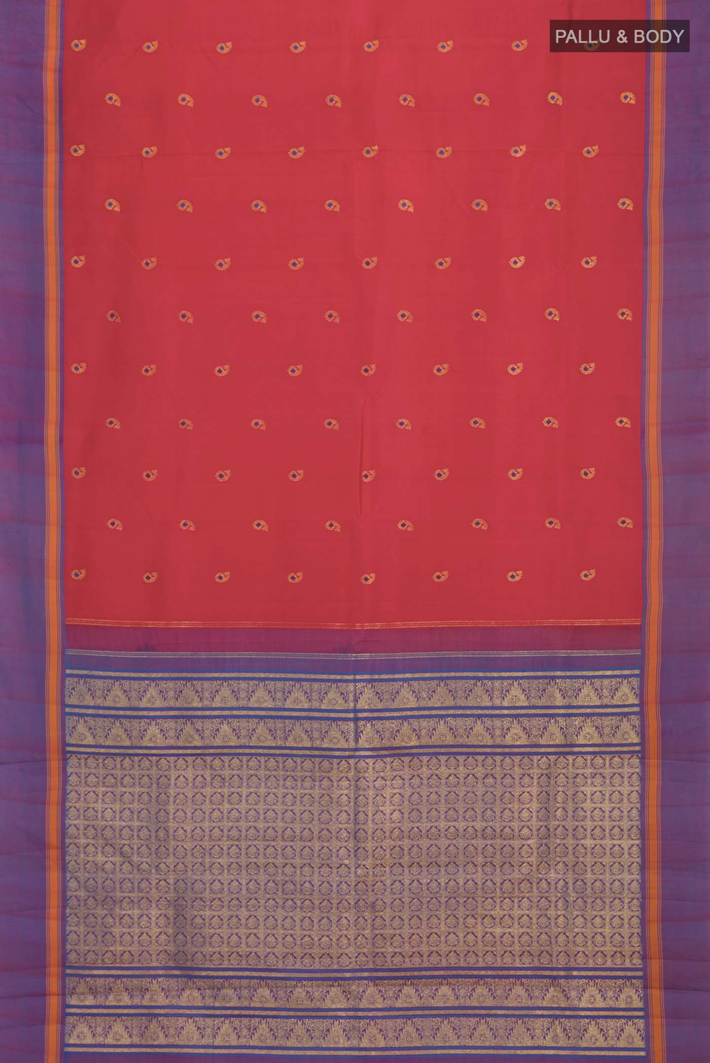 pallu body