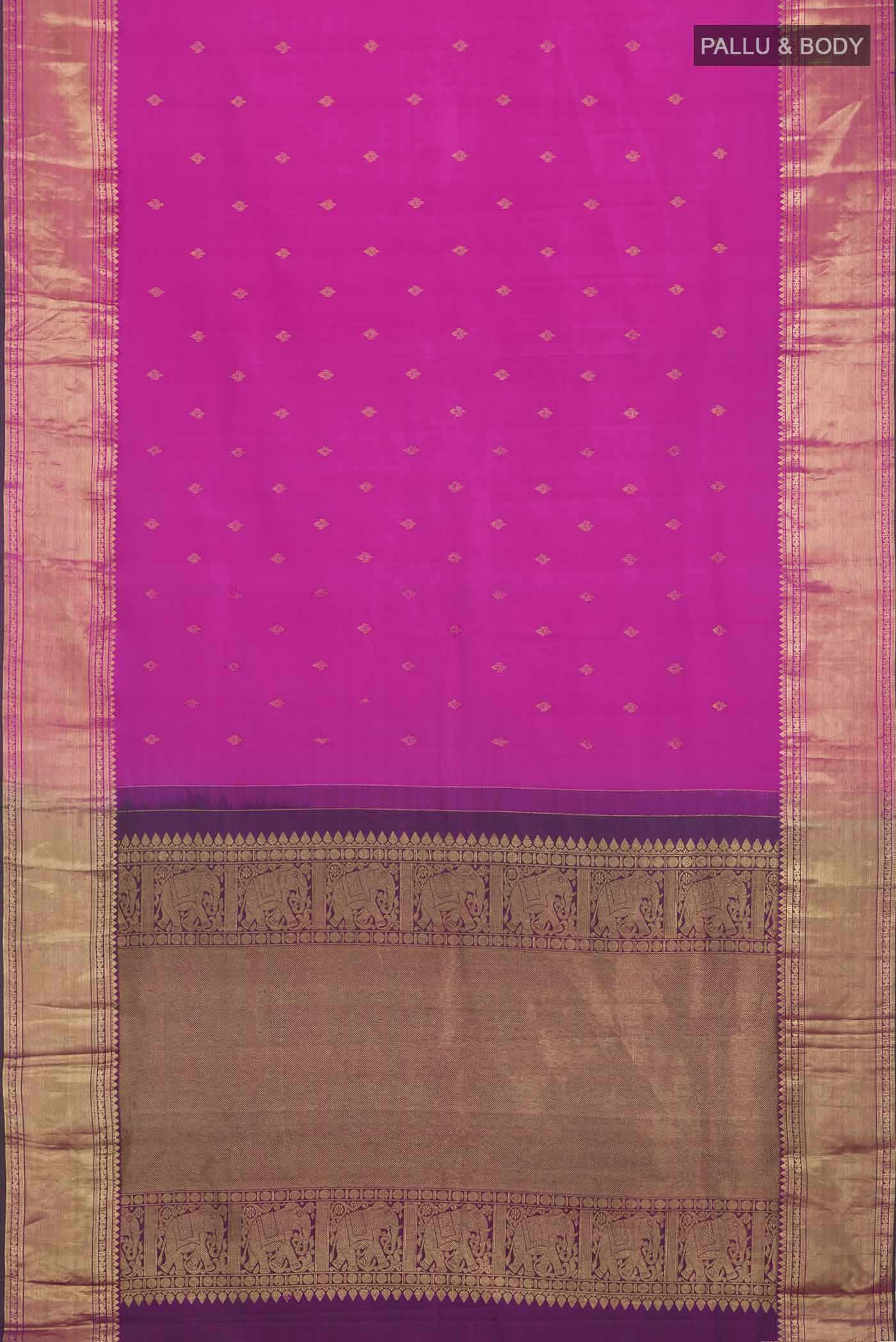 pallu body