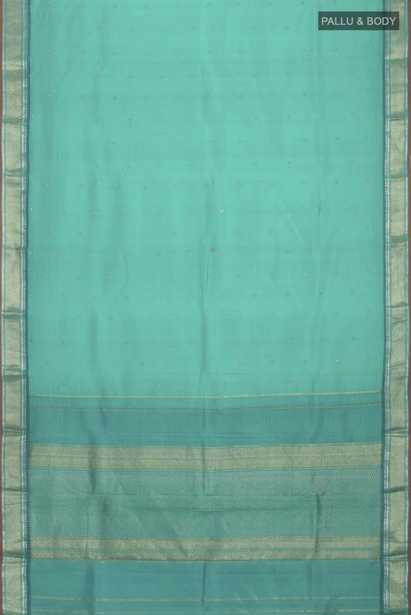 pallu body