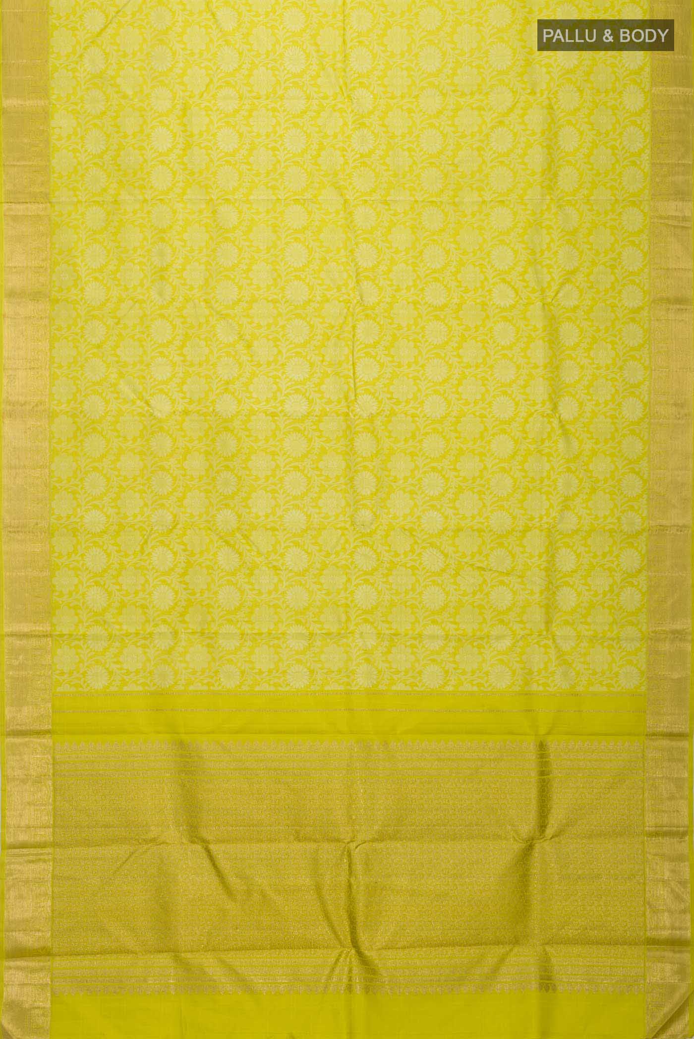 pallu body