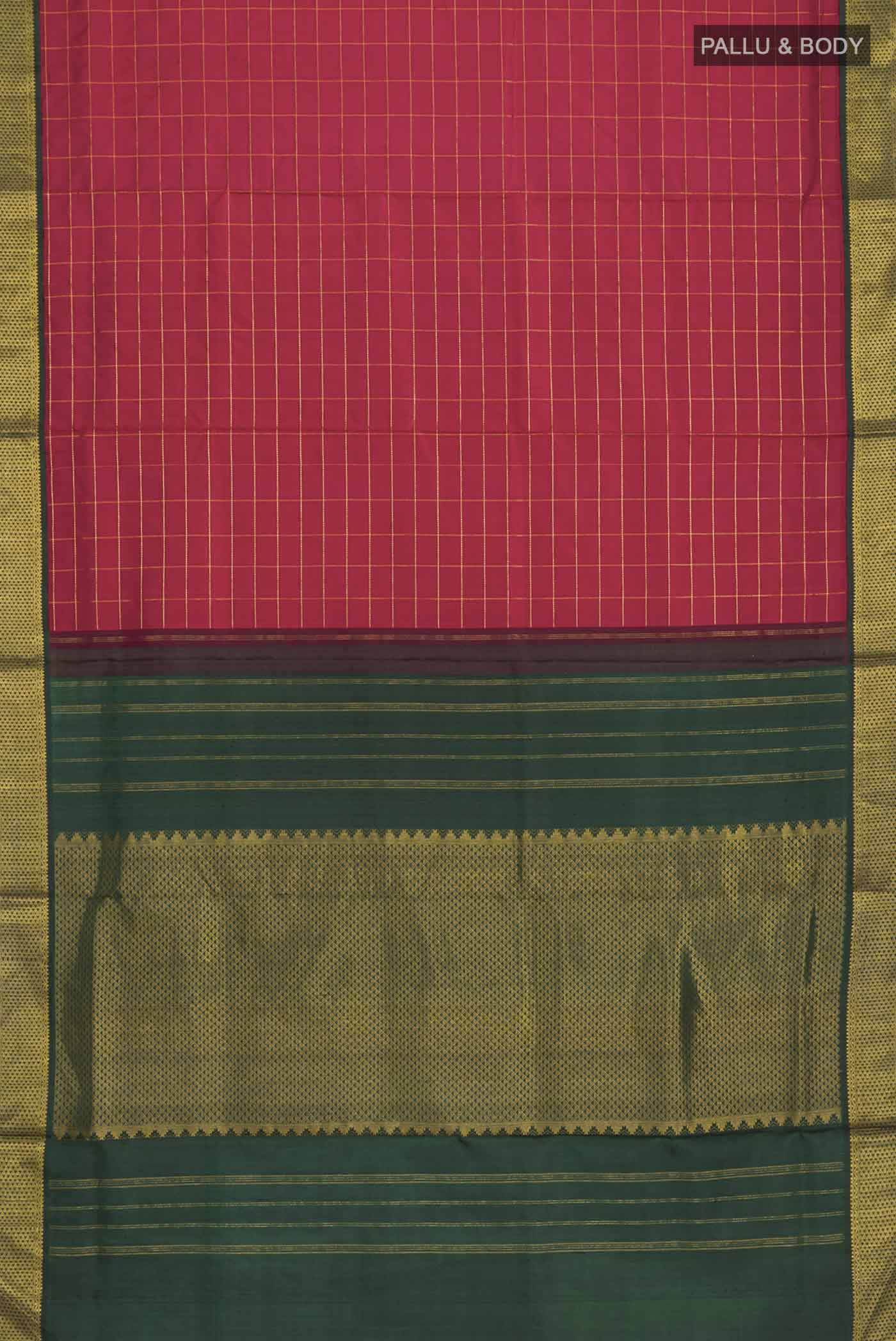 pallu body