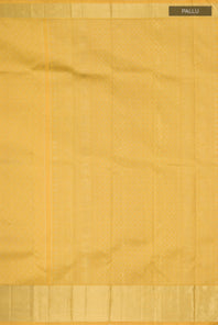 pallu_closeup