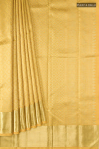pleats pallu