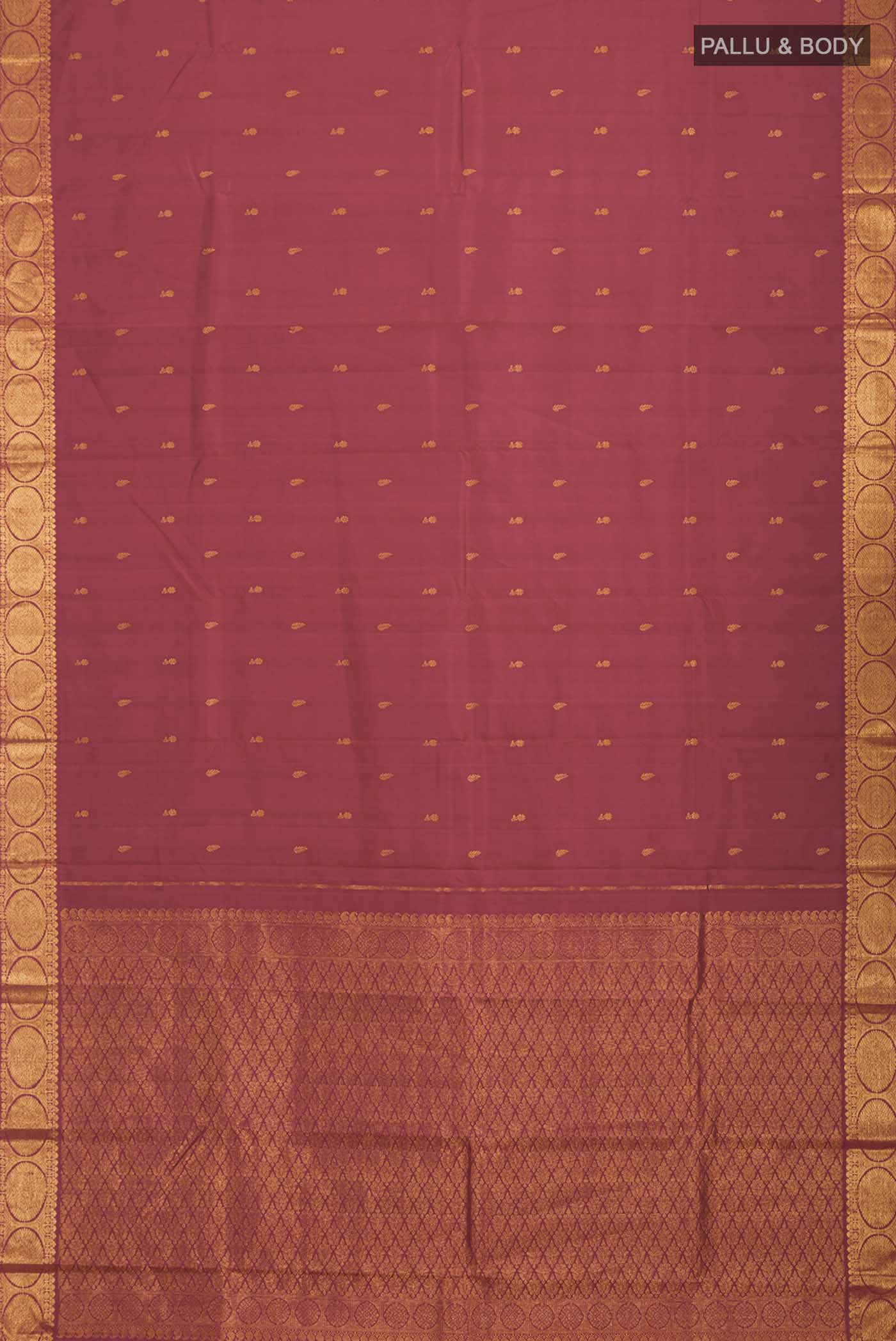 pallu body