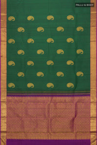 pallu body