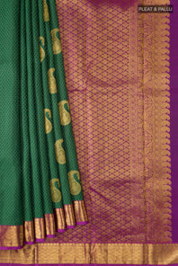 pleats pallu