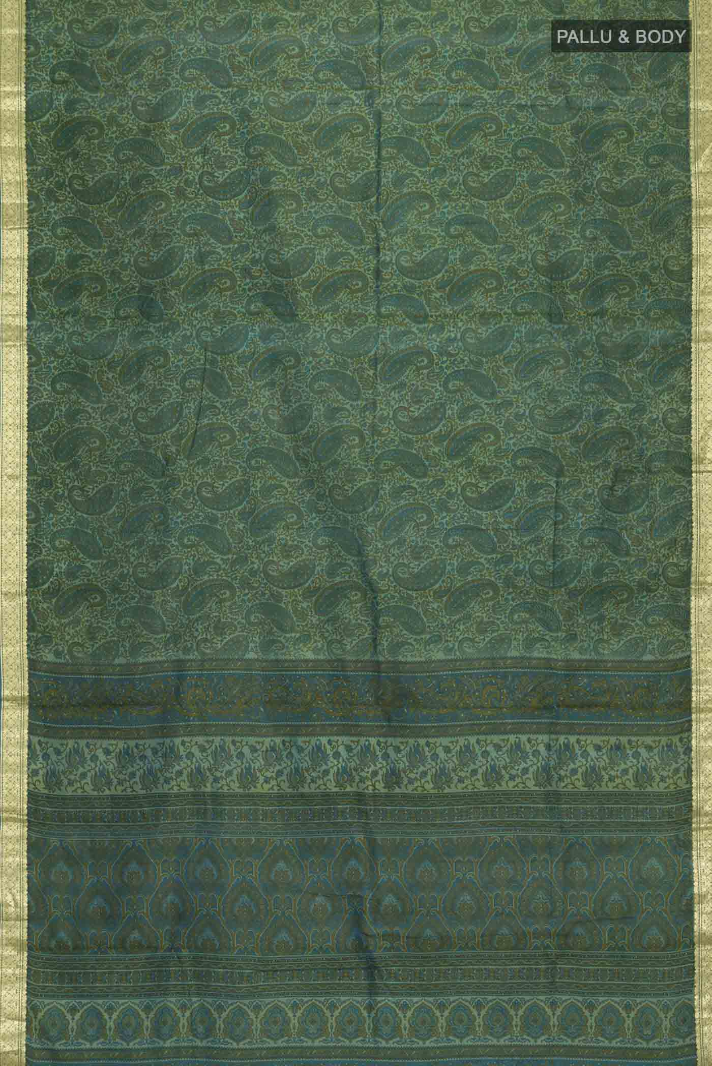 pallu body