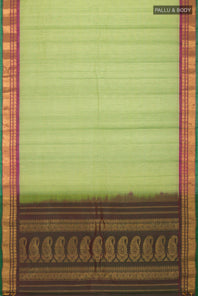 pallu body