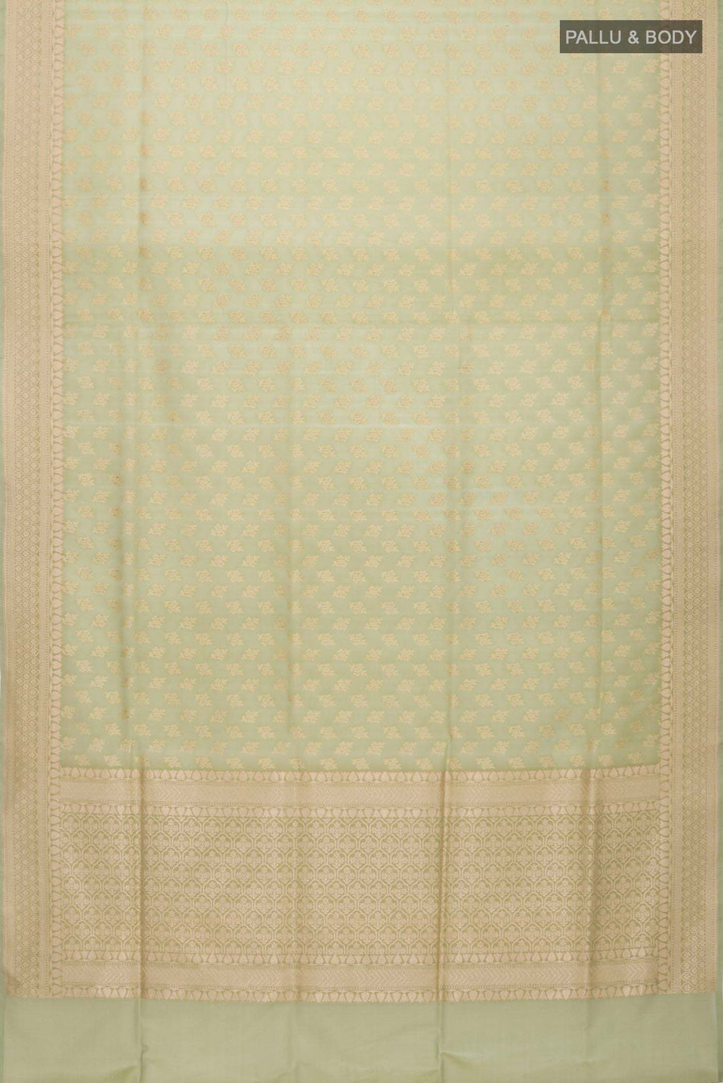 pallu body