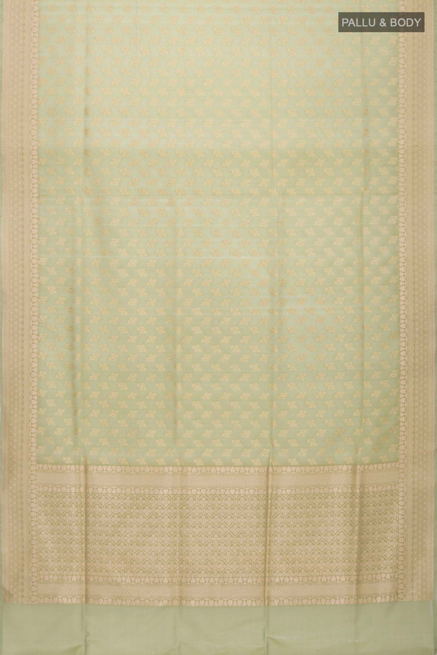 pallu body