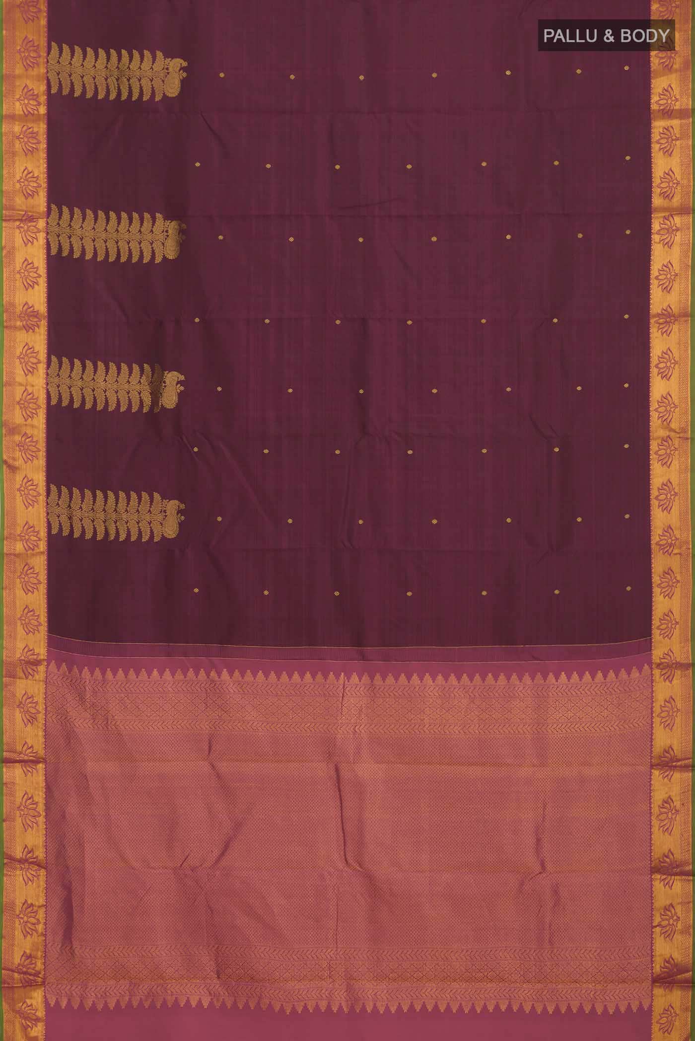 pallu body