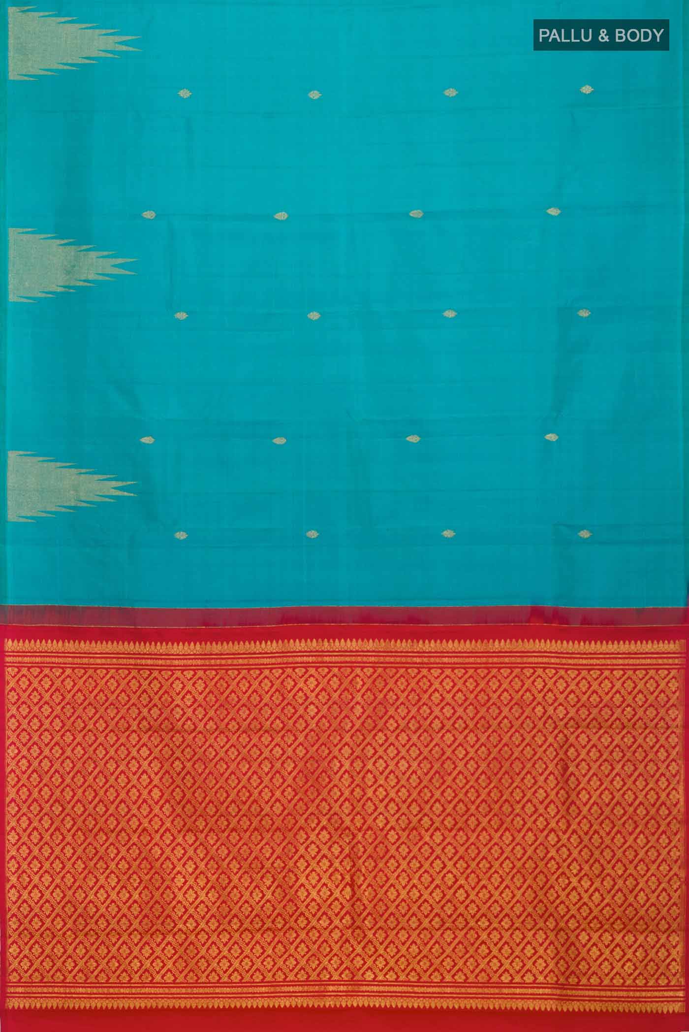 pallu body