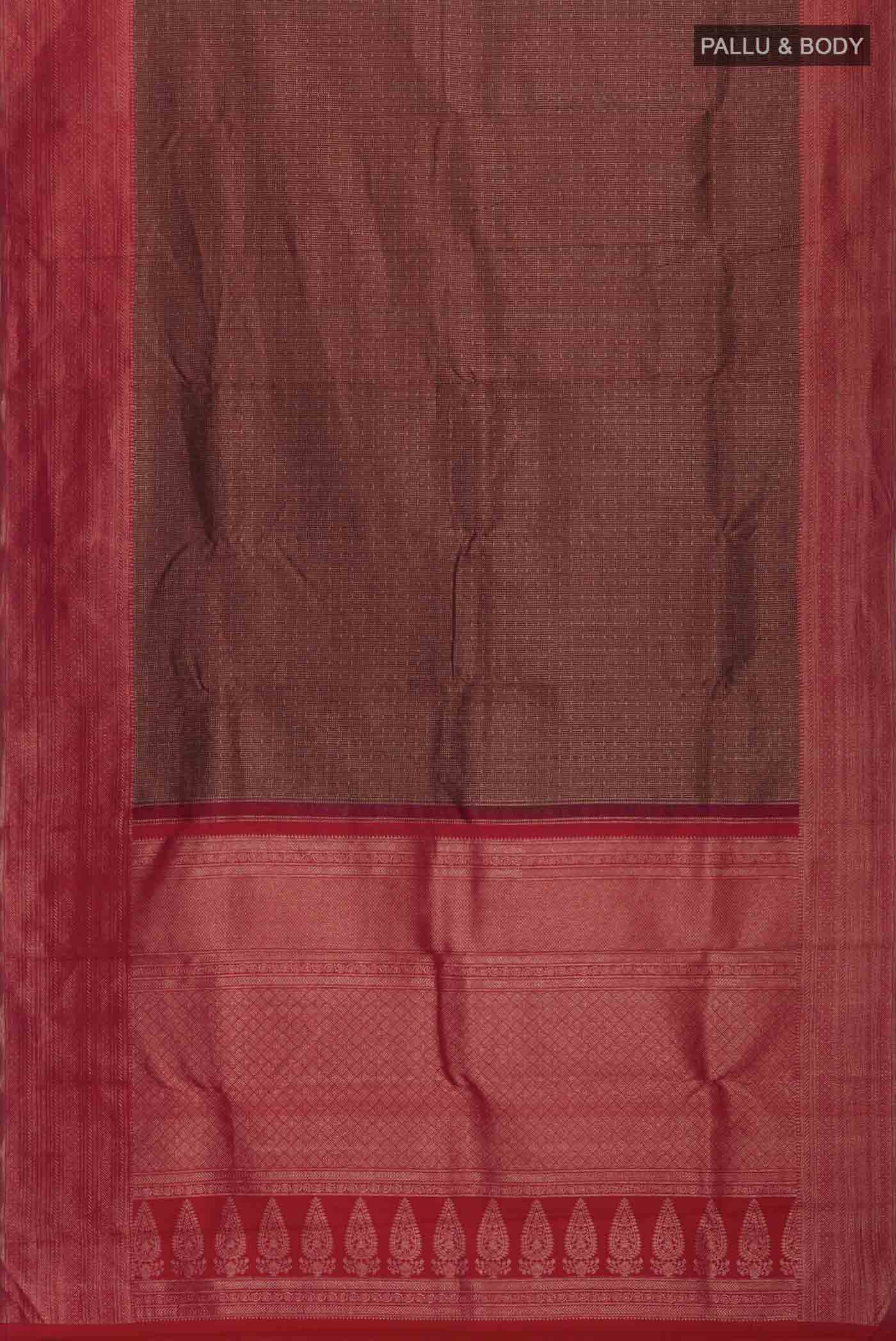 pallu body