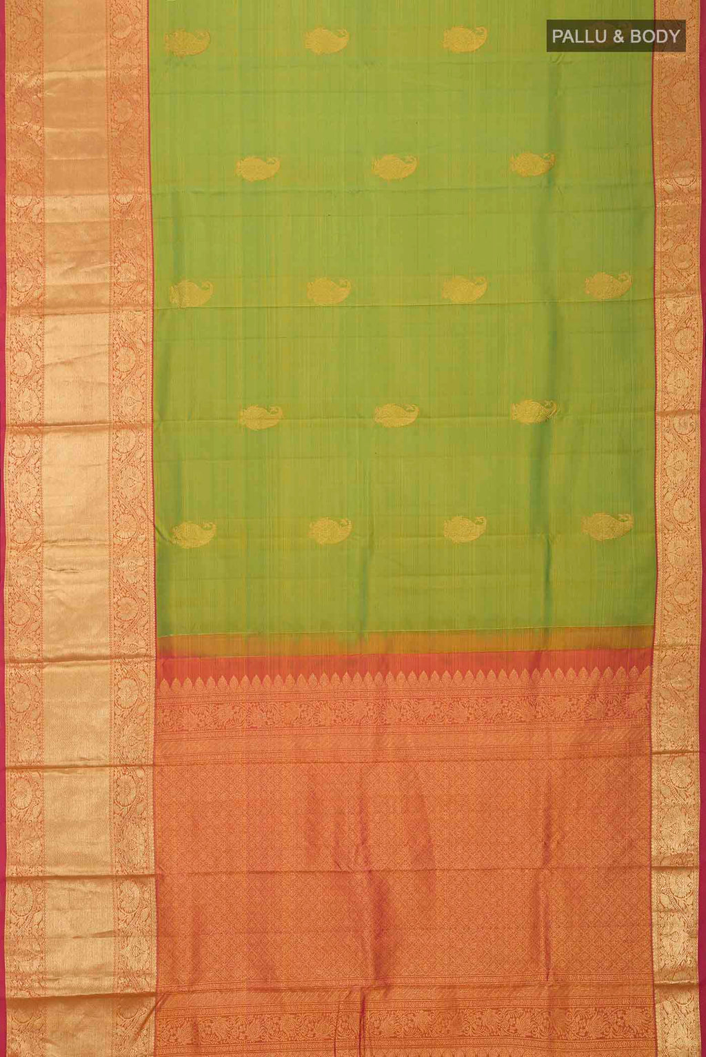 pallu body