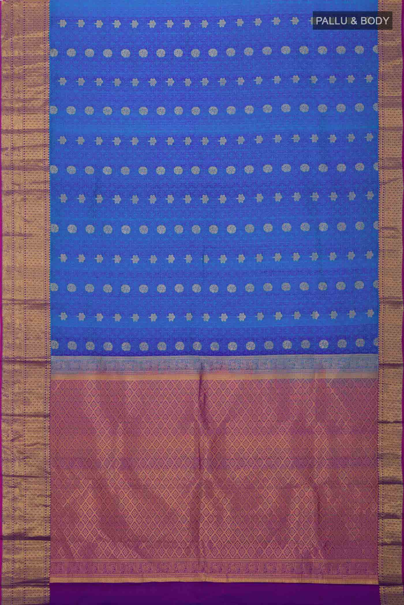 pallu body