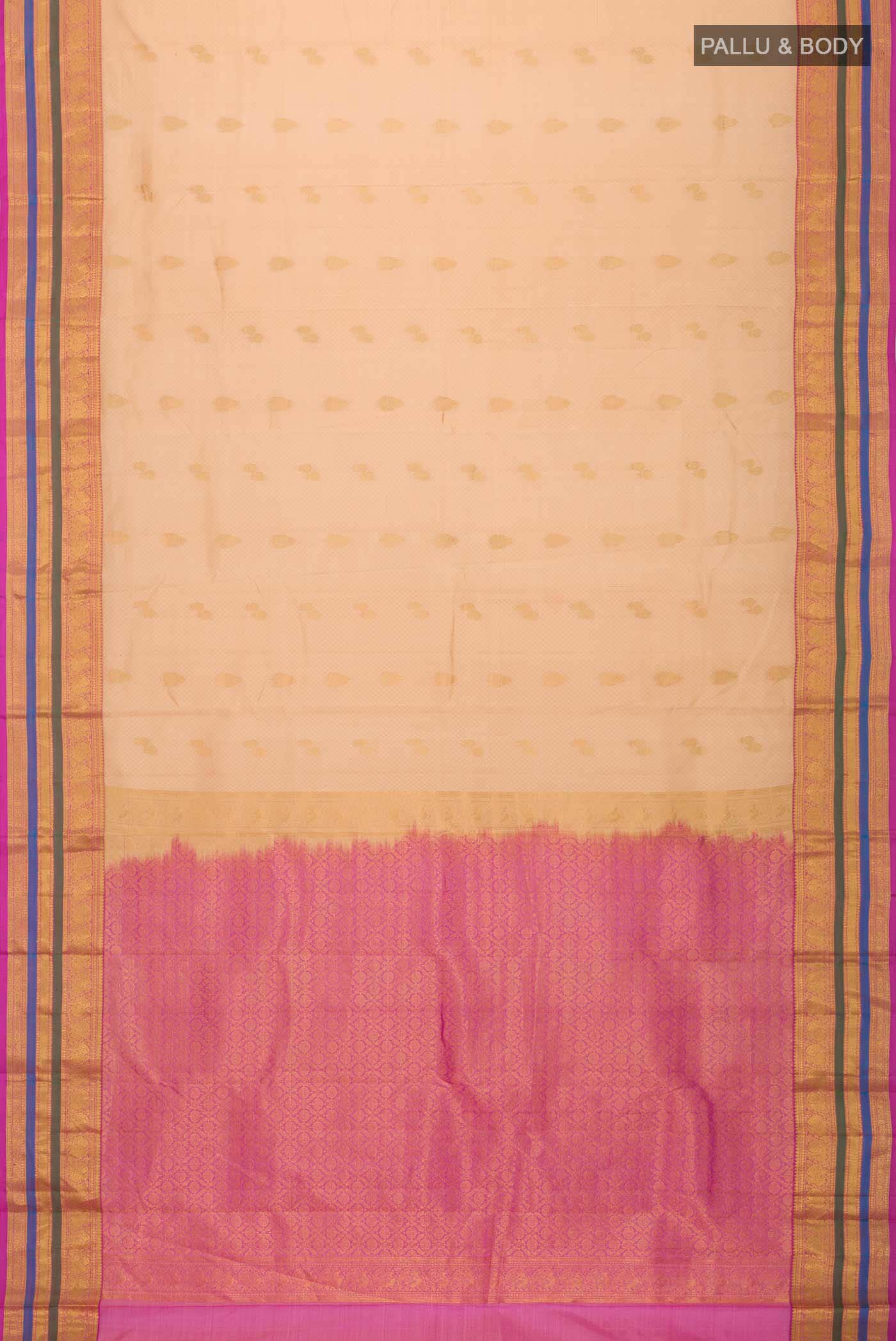 pallu body