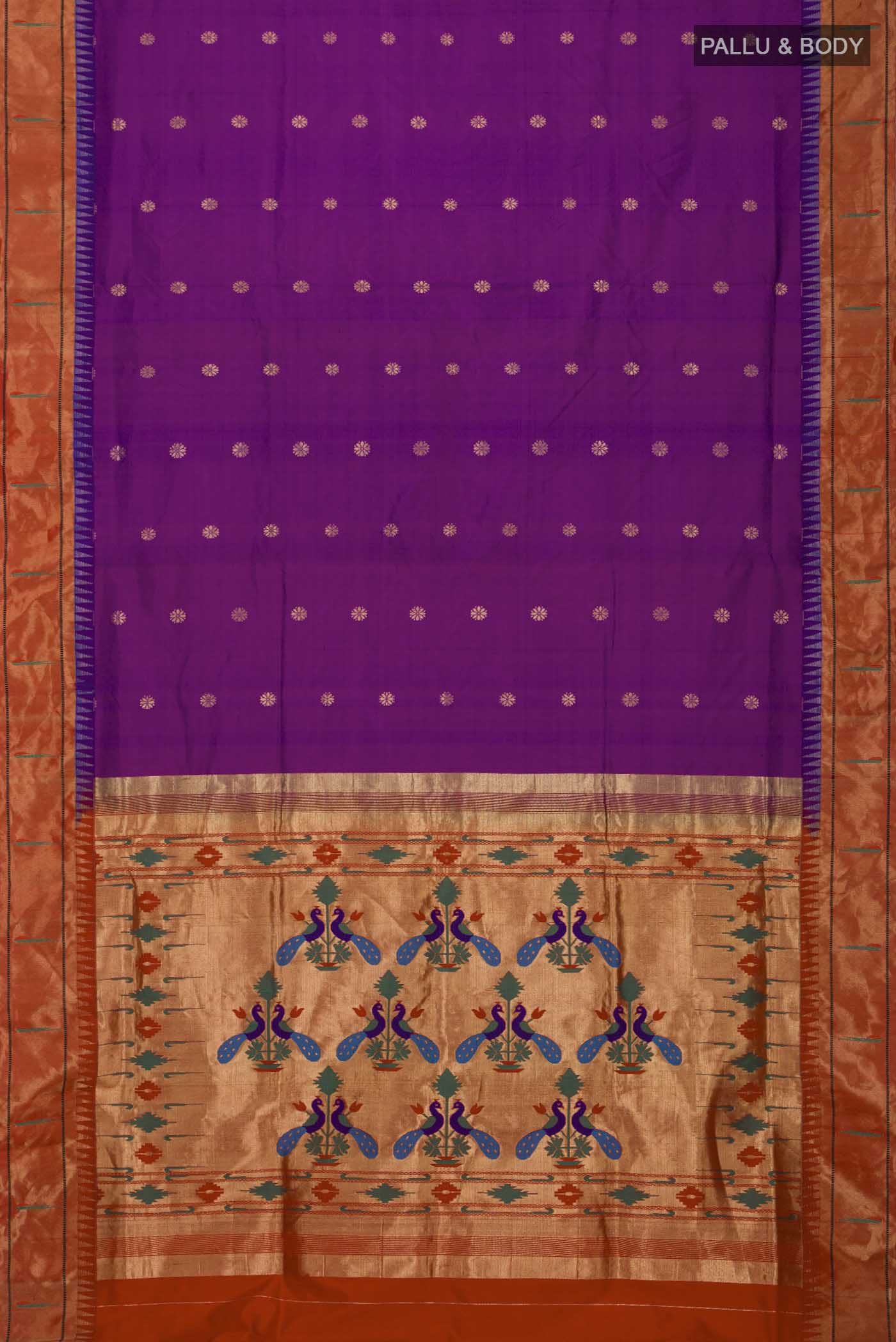 pallu body