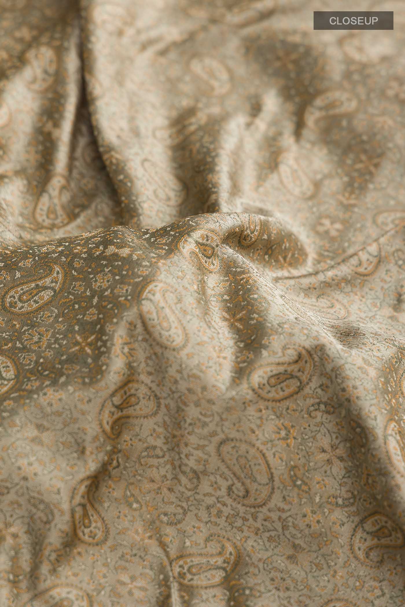 Close up of Beige Banarasi Tanchoi Silk Saree with Jacquard design on the body and Thread Border displaying folds