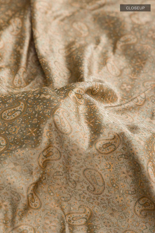 Close up of Beige Banarasi Tanchoi Silk Saree with Jacquard design on the body and Thread Border displaying folds