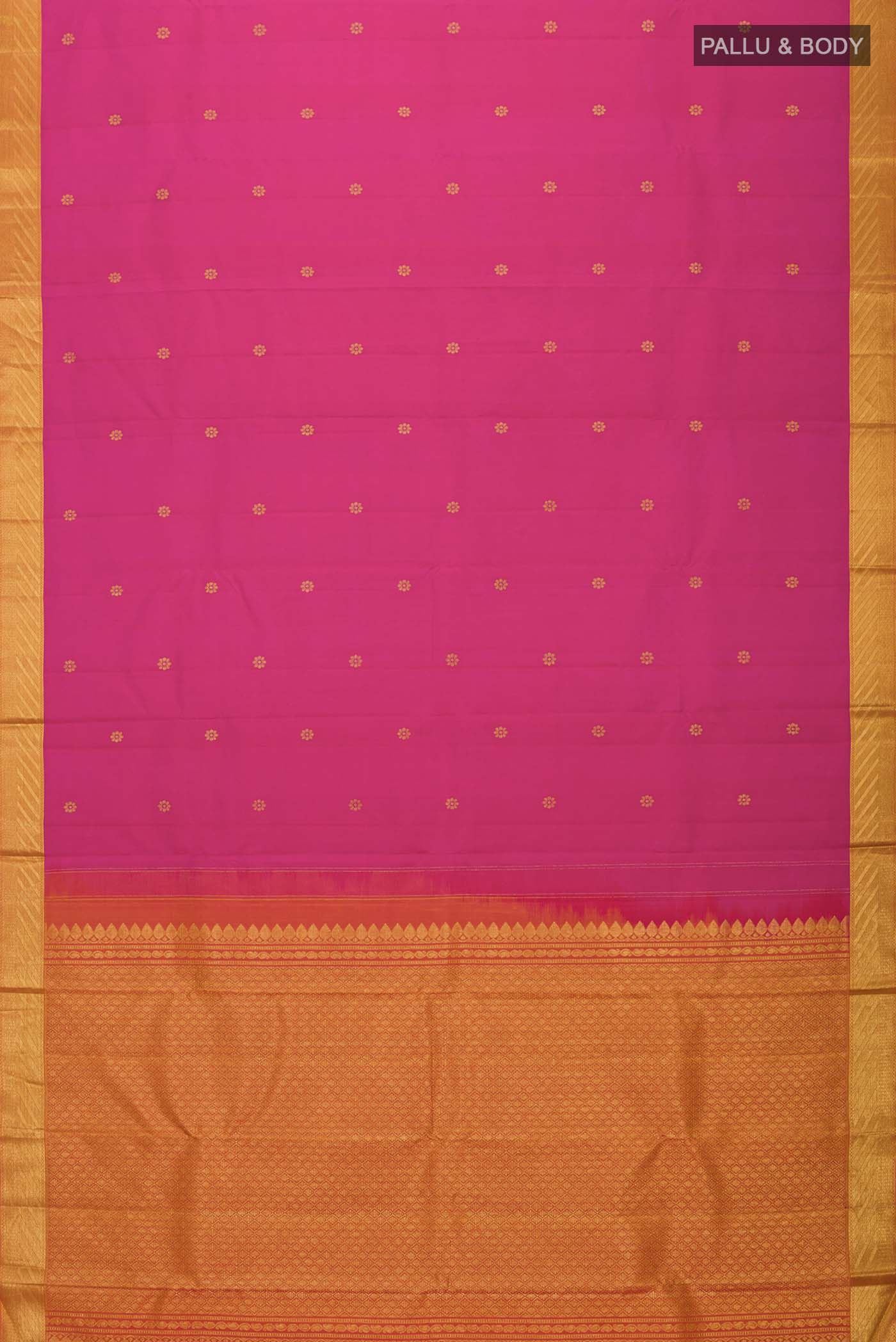 pallu body