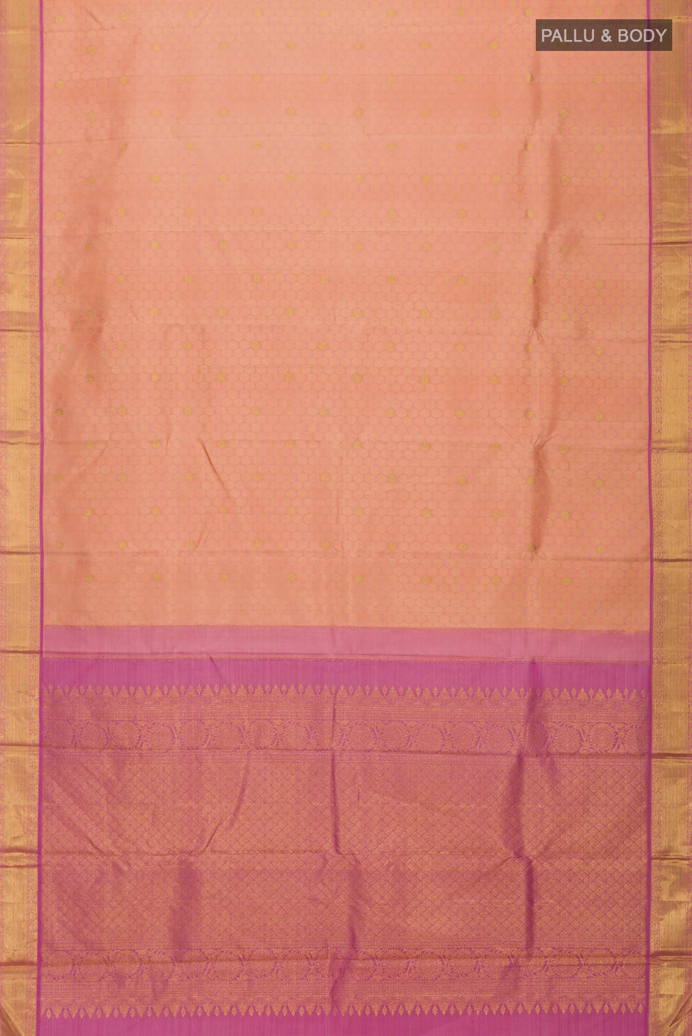 pallu body