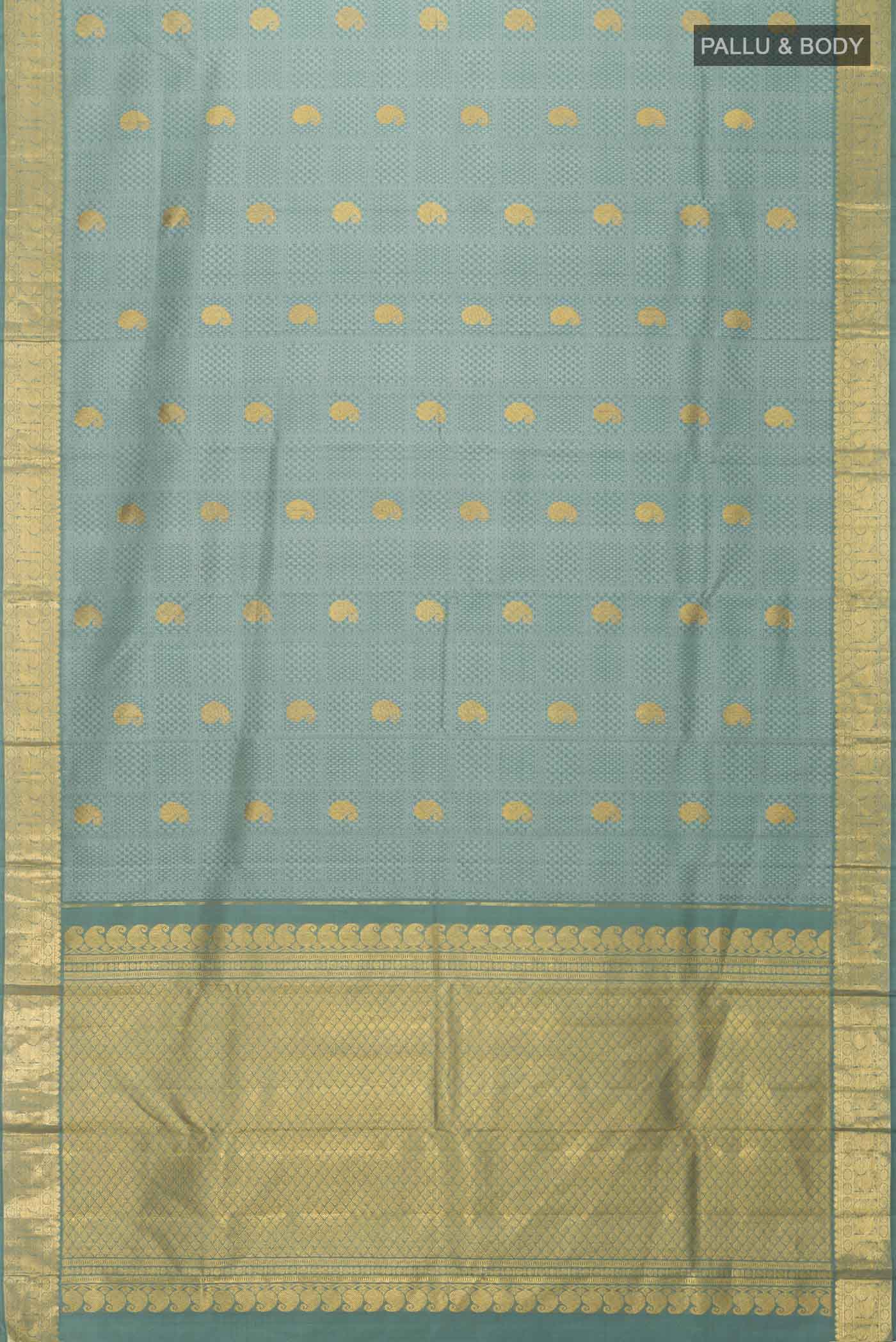 pallu body