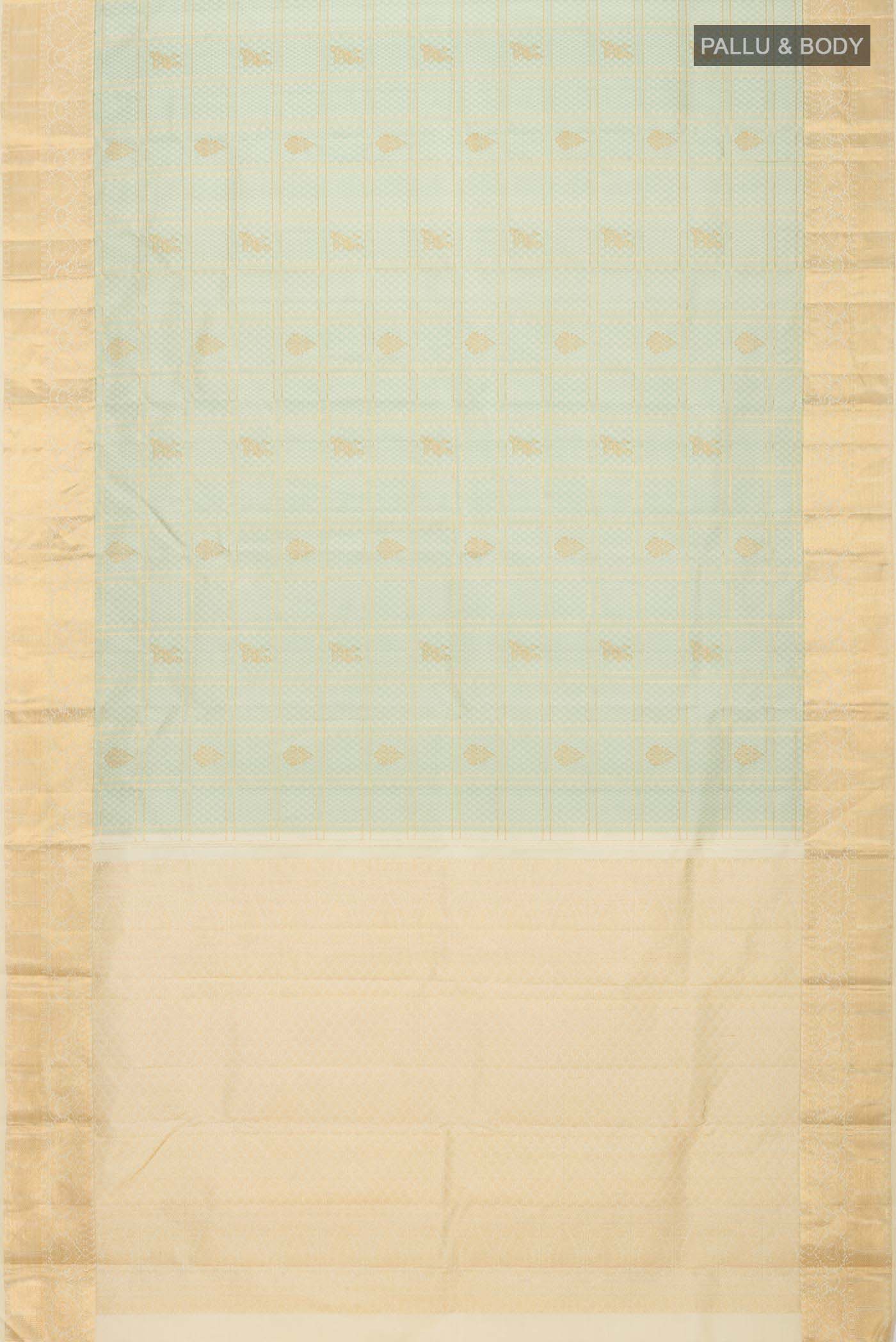 pallu body