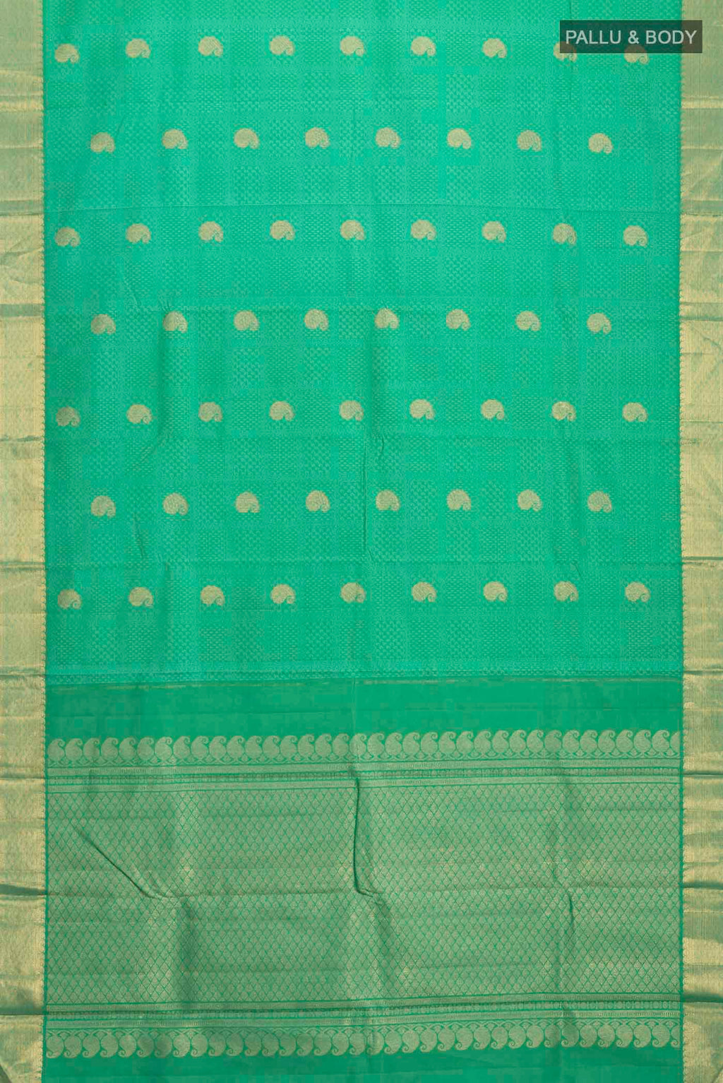 pallu body