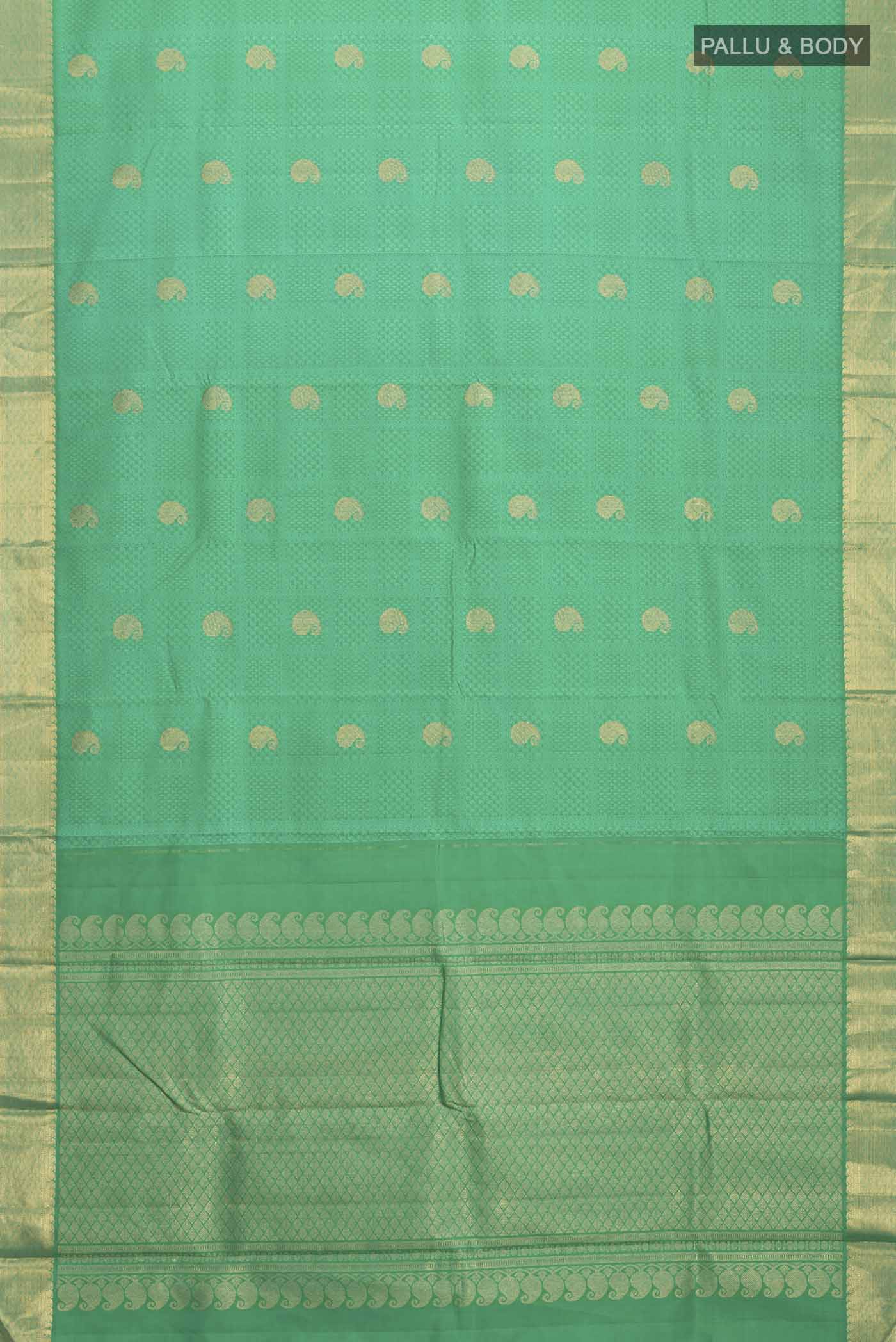 pallu body