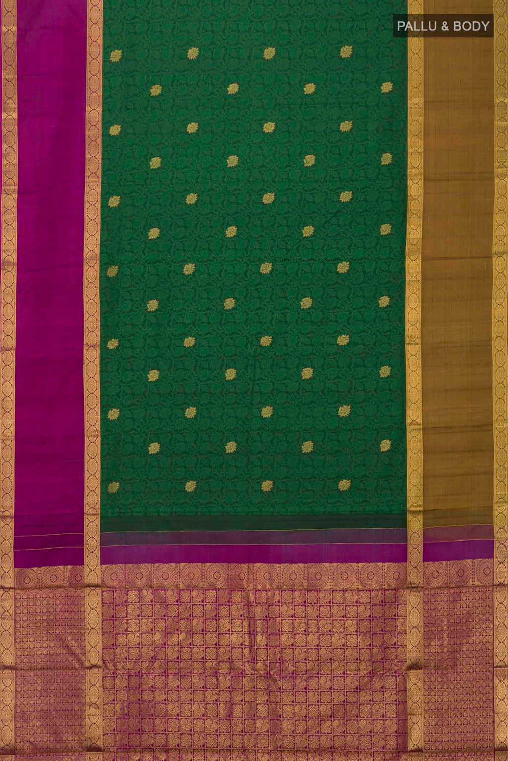 pallu body
