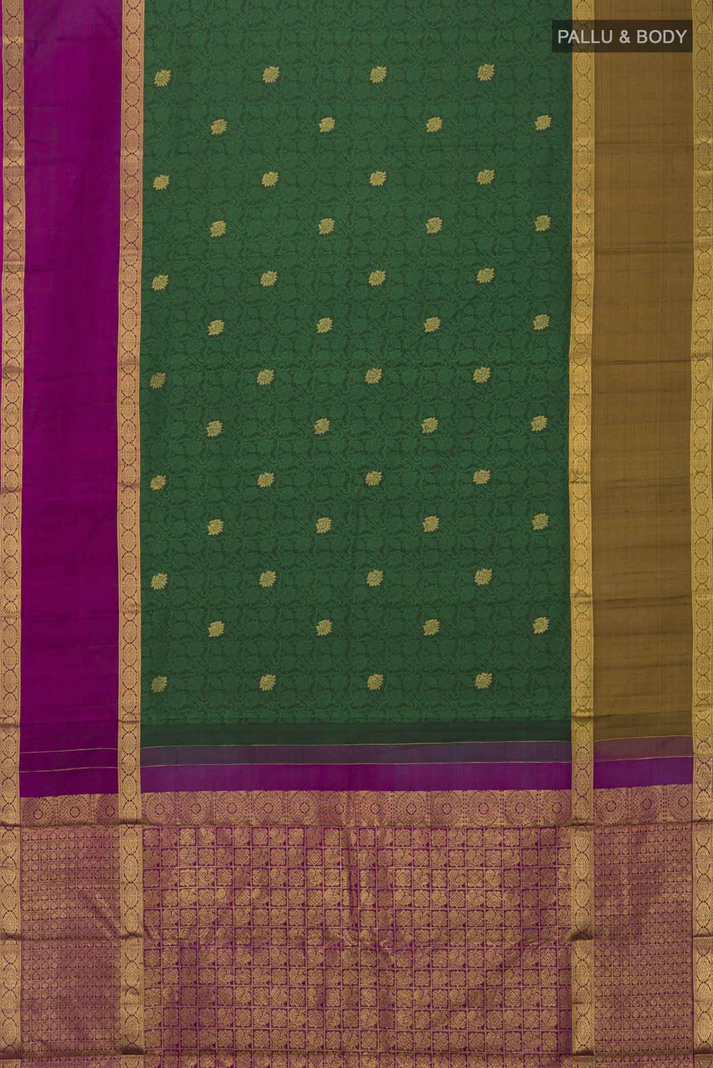 pallu body